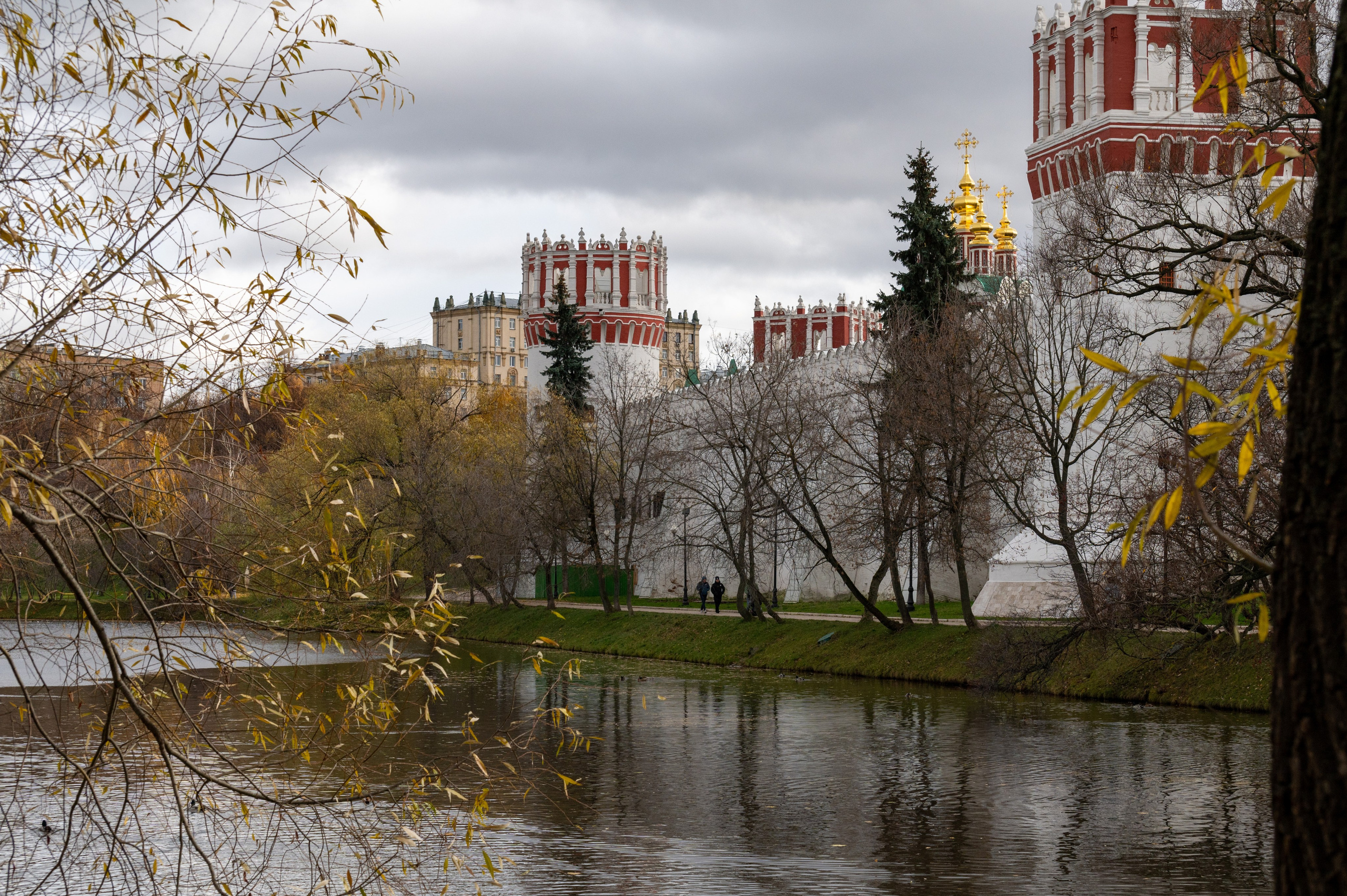 20221030 Новодевичий. Дмитрий Ремизов. Фотография, как хобби