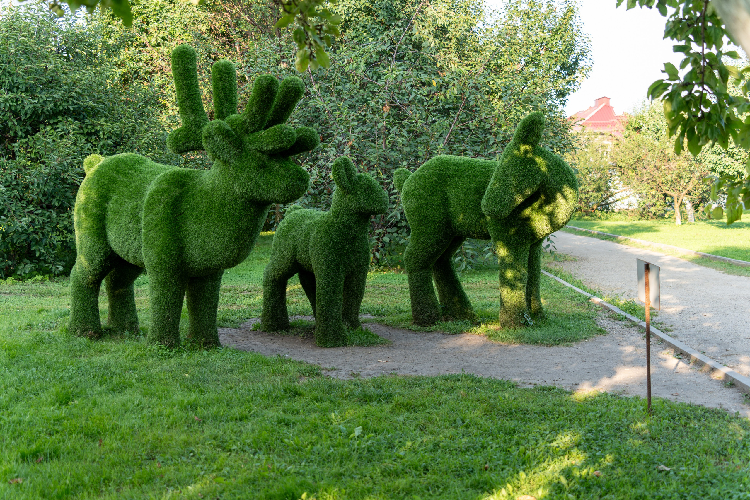 20250729-30 Ростов. Дмитрий Ремизов. Фотография, как хобби