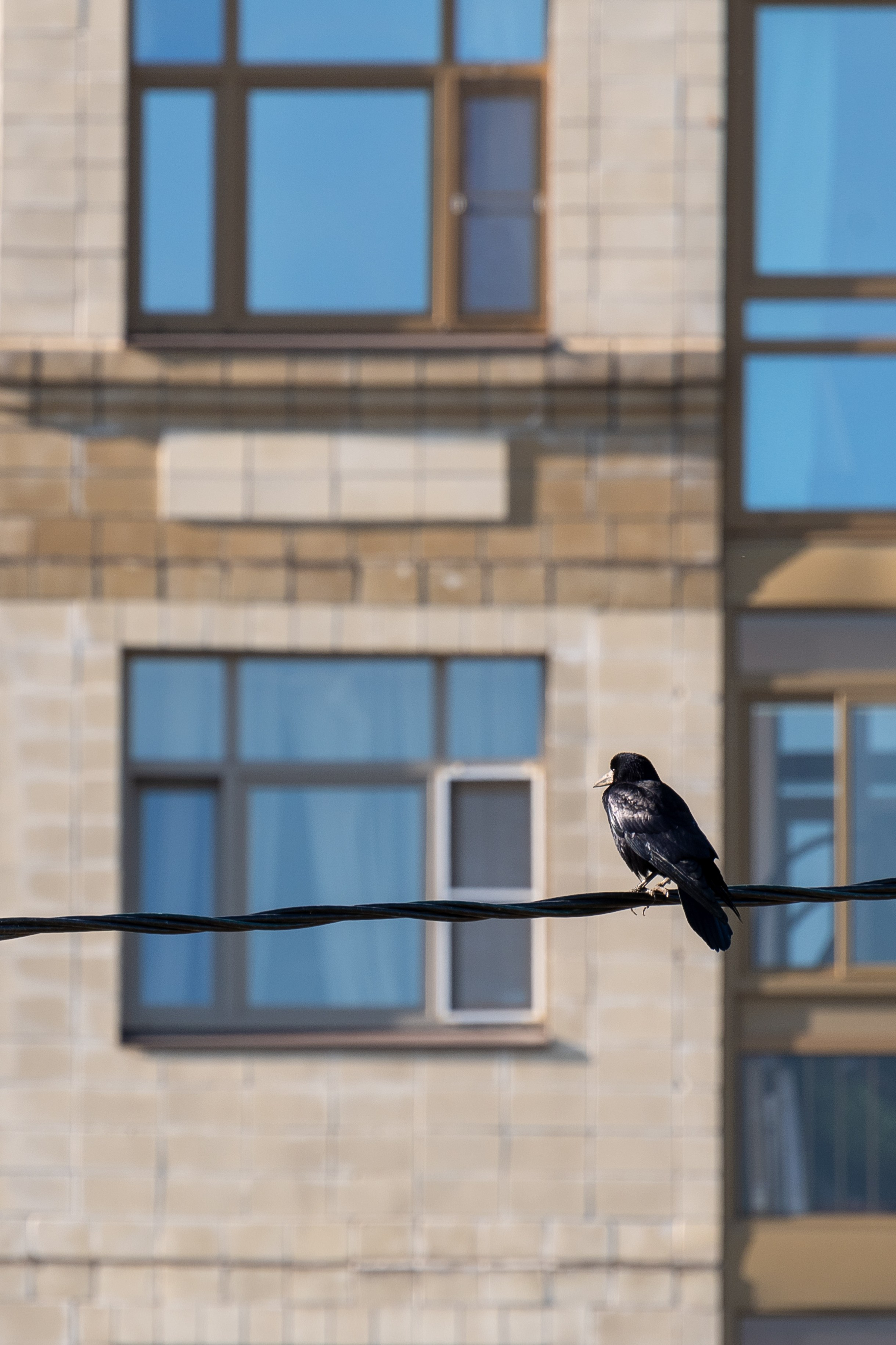 20211010 МГУ. Дмитрий Ремизов. Фотография, как хобби