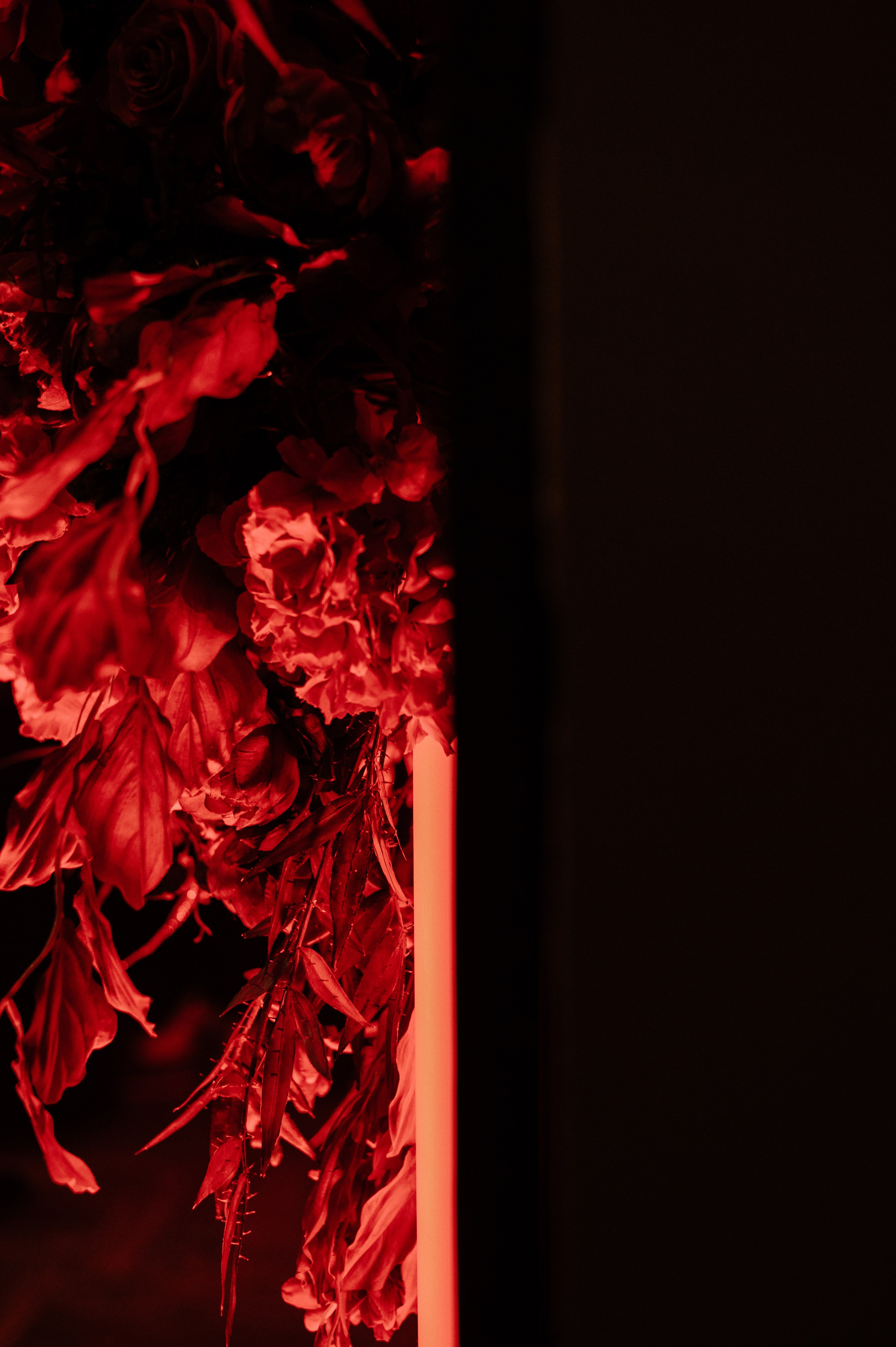 День рождения Дарины. Фотограф в Иркутске