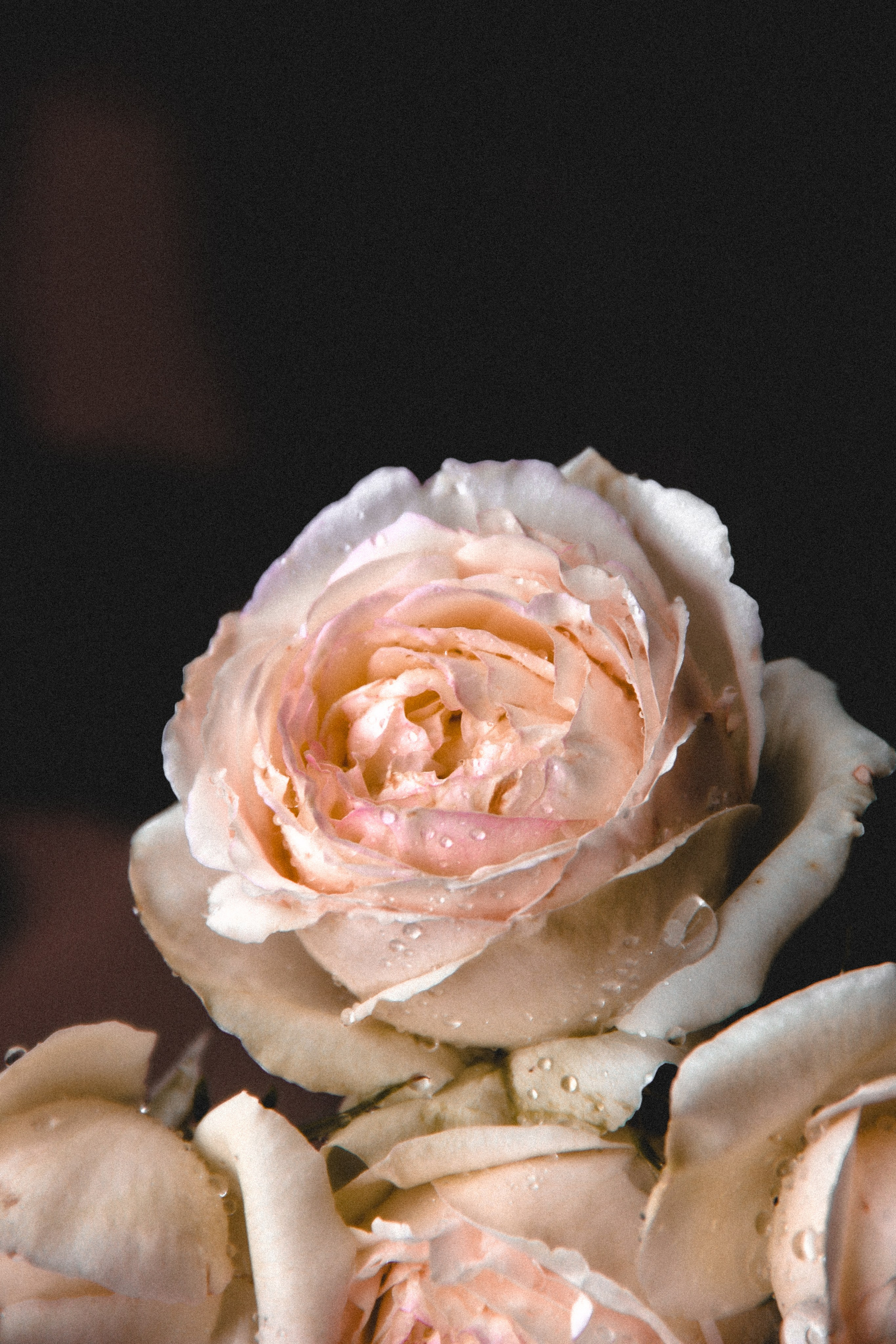 Art. Photographer Mary Matveenko