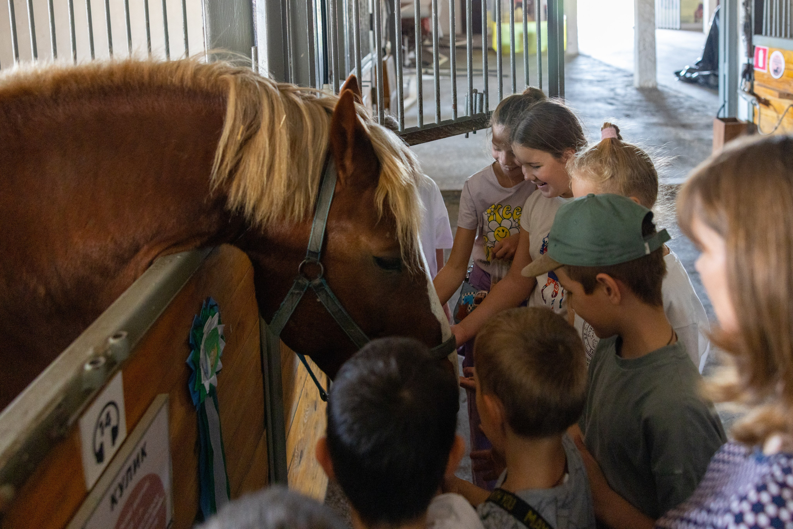 Поездка на поле Кулеково. Фотограф в Туле Крупский АнДРей. Фотостудия «КАДР71» в Туле
