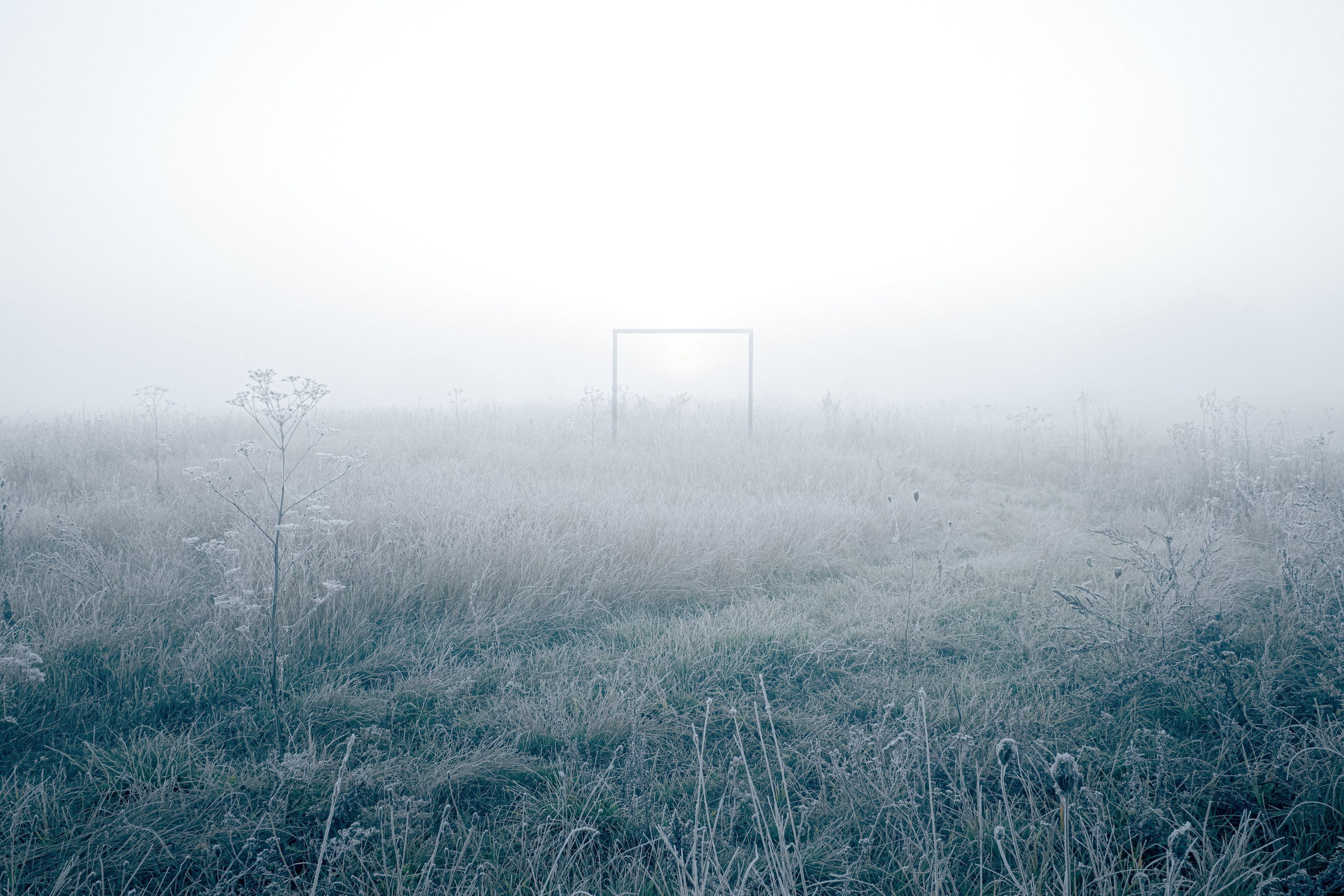 О границах реального. Междисциплинарный художник Екатерина Старовойтова