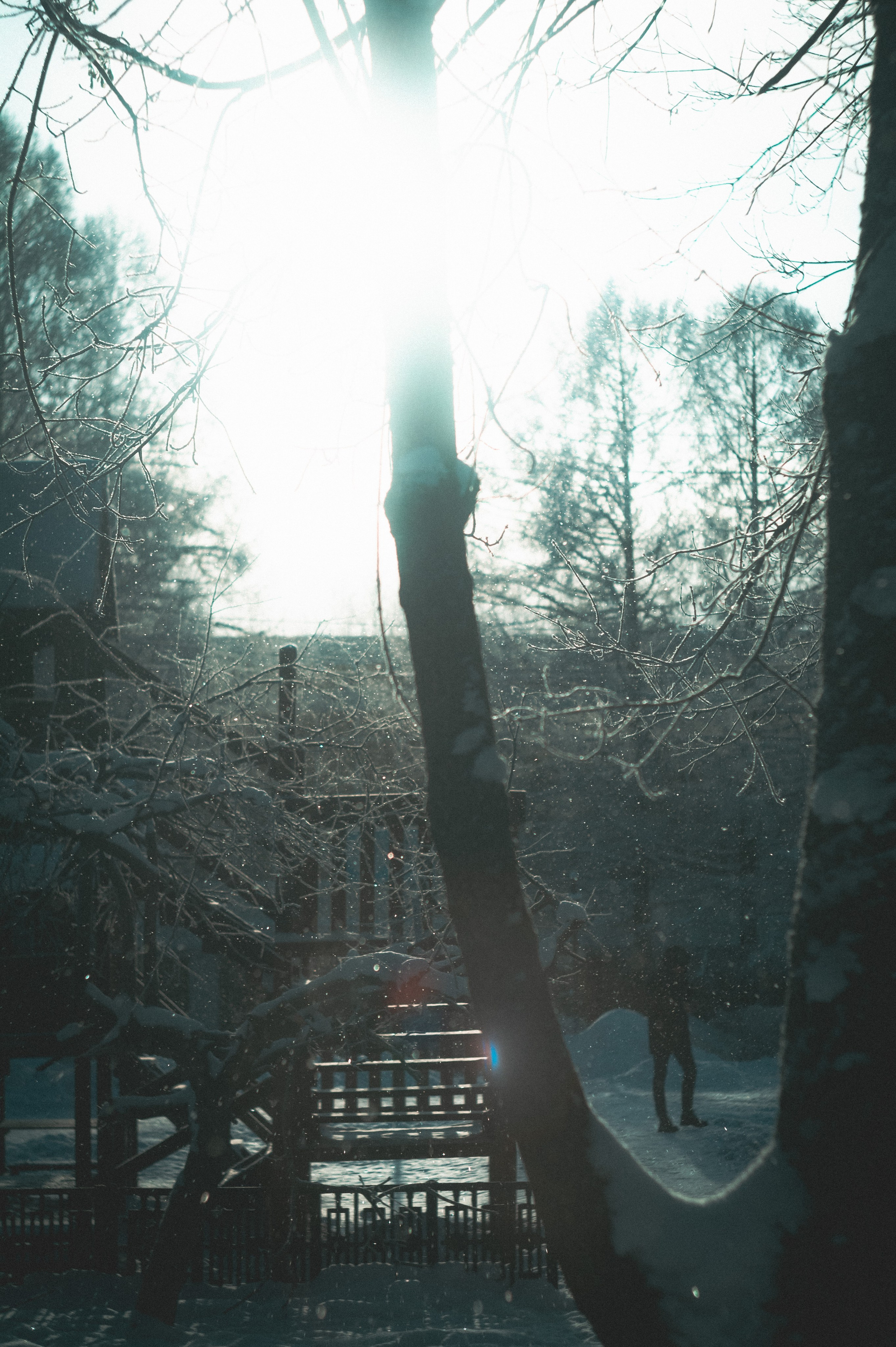 Мороз. Den Mirov — Фотограф, Музыкант