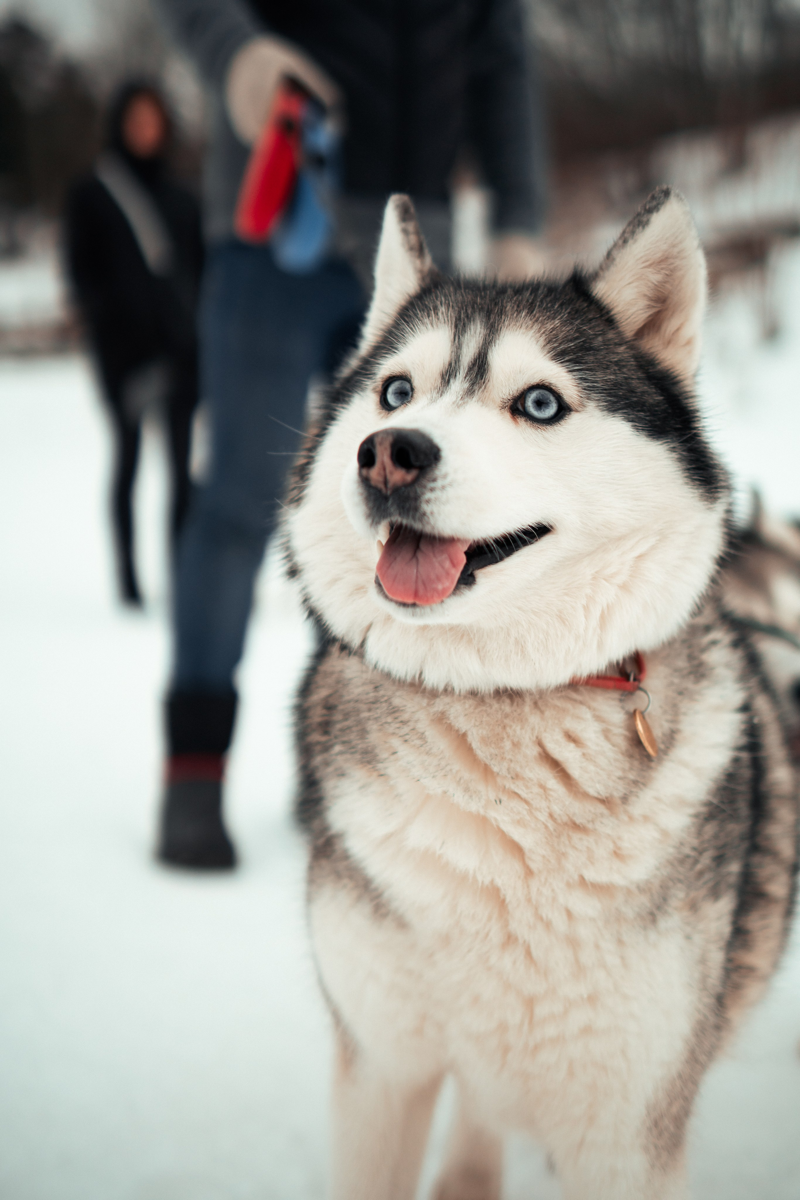 Фотограф в Санкт-Петербурге Артем Маличенко
