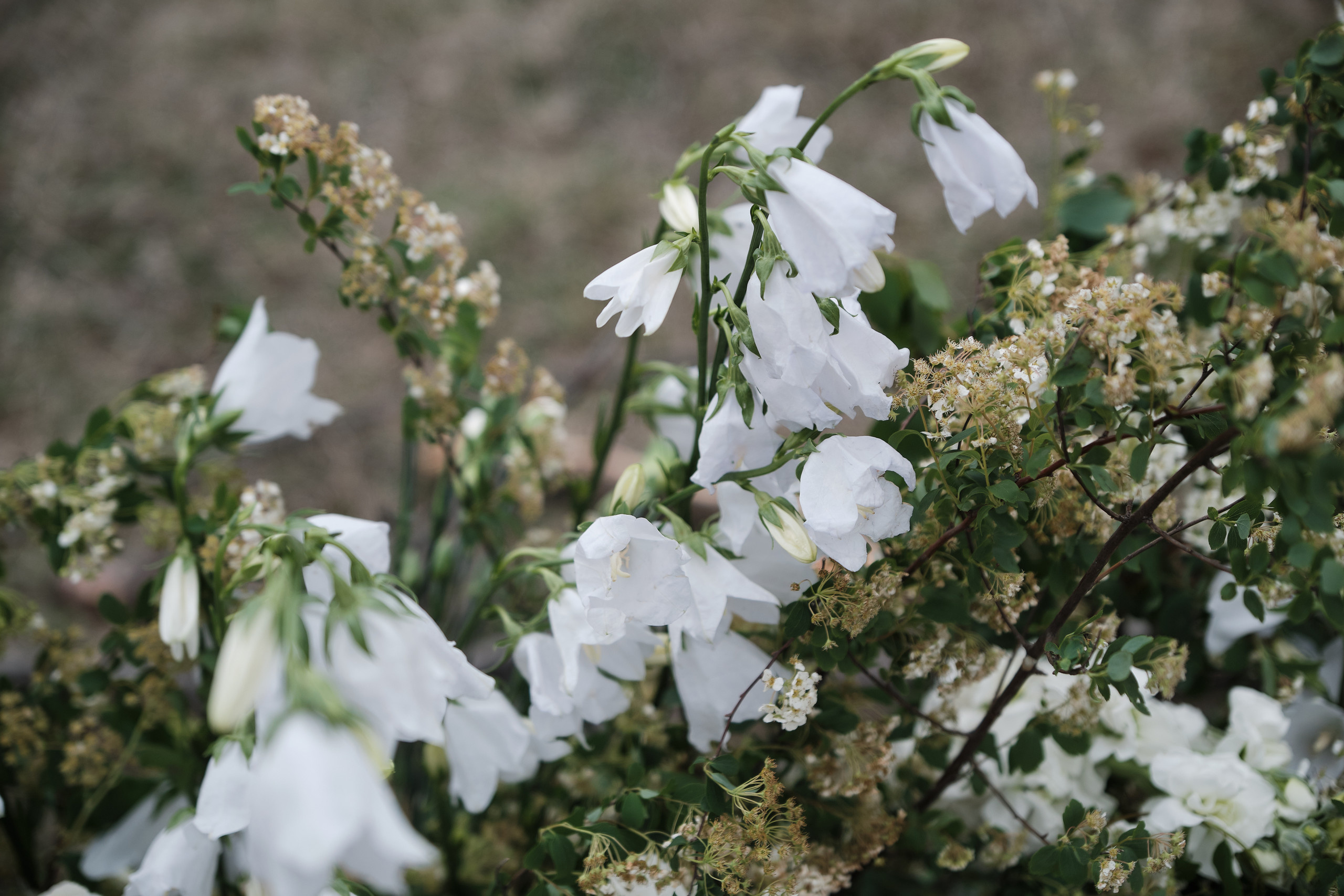 Свадебная фотосъёмка за границей, Европе. Свадебный фотограф в Екатеринбурге Соседков Евгений