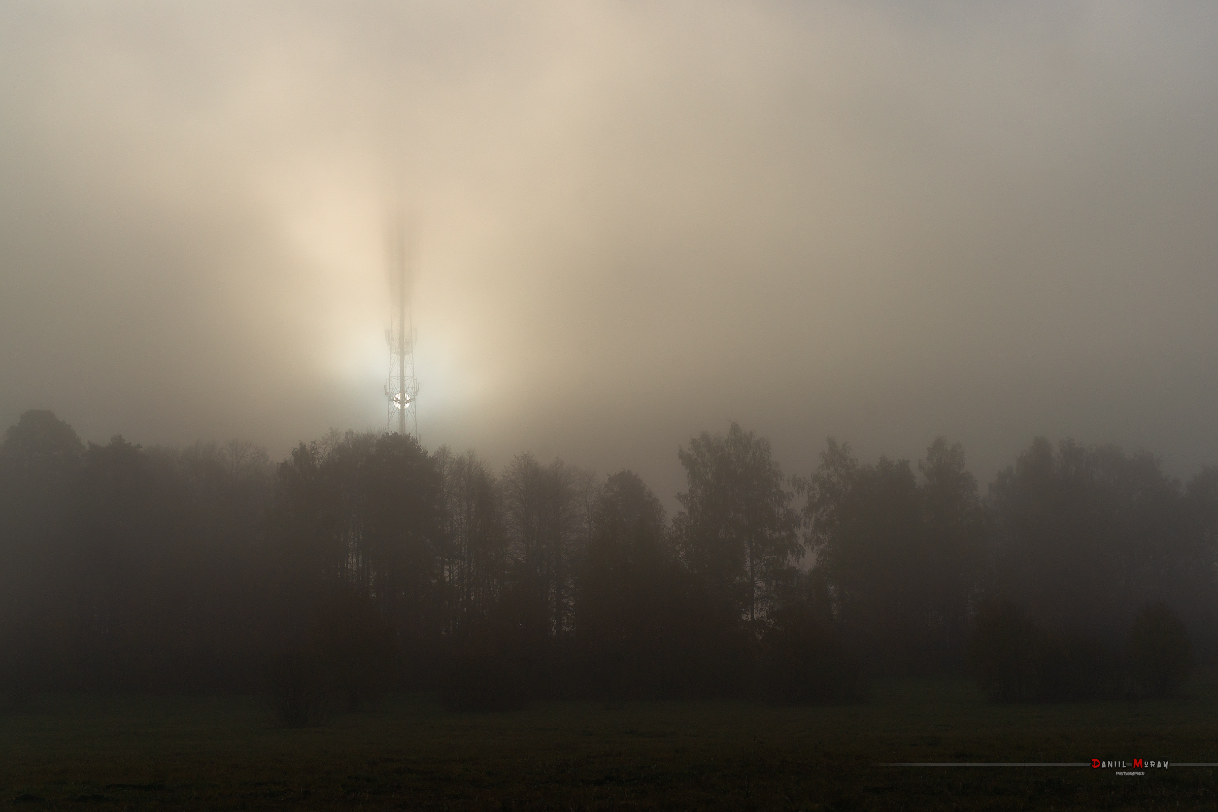 Даниил Мурай. Семейное фото. Мужской портрет. Женский портрет. Даниил Мурай — Фотограф Зеленоград- Аланья