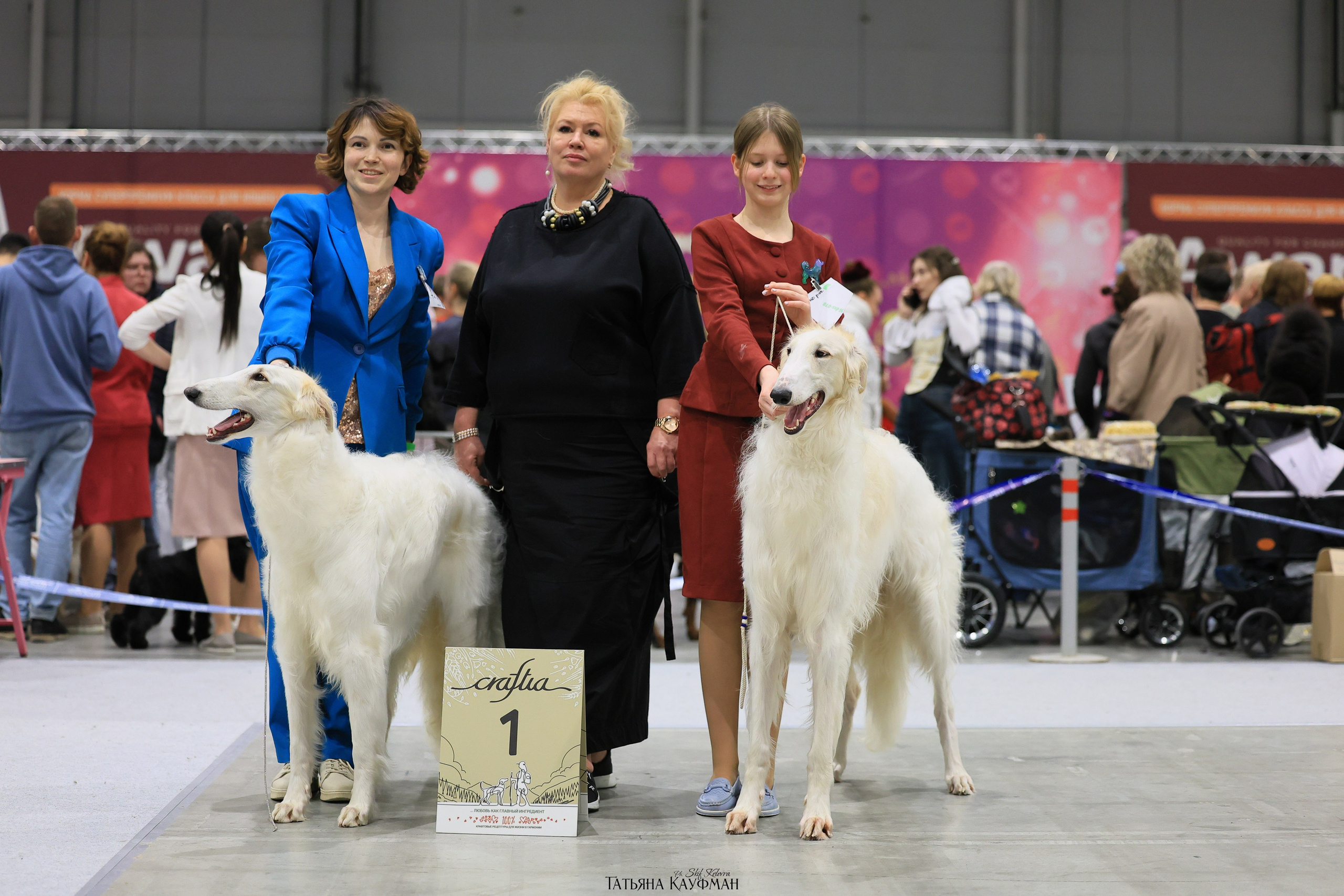 28-29.03.2026 Рейтинговая выставка в Новосибирске. Фотограф Анималист из Новосибирска Татьяна Кауфман