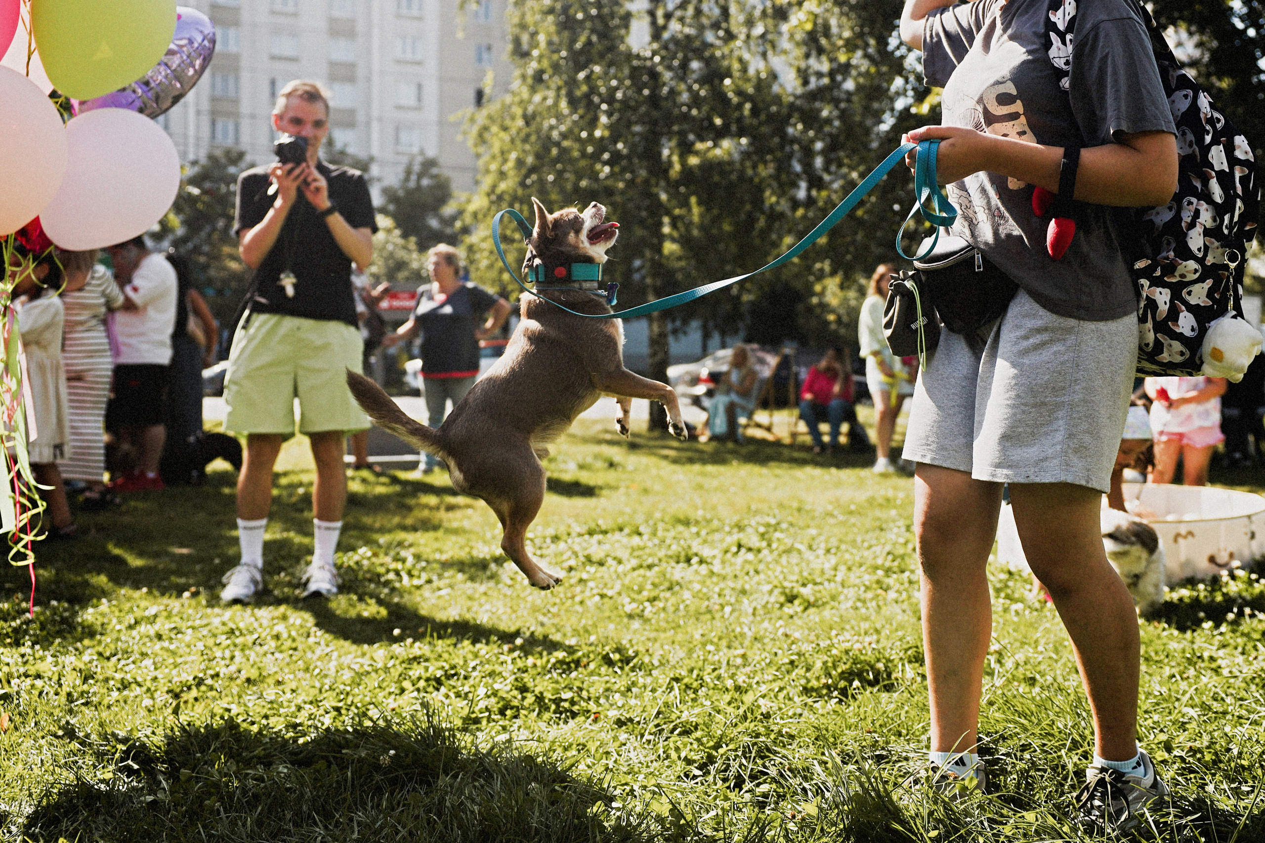 Дог пати. Коцаба Виктория фотограф в Москве
