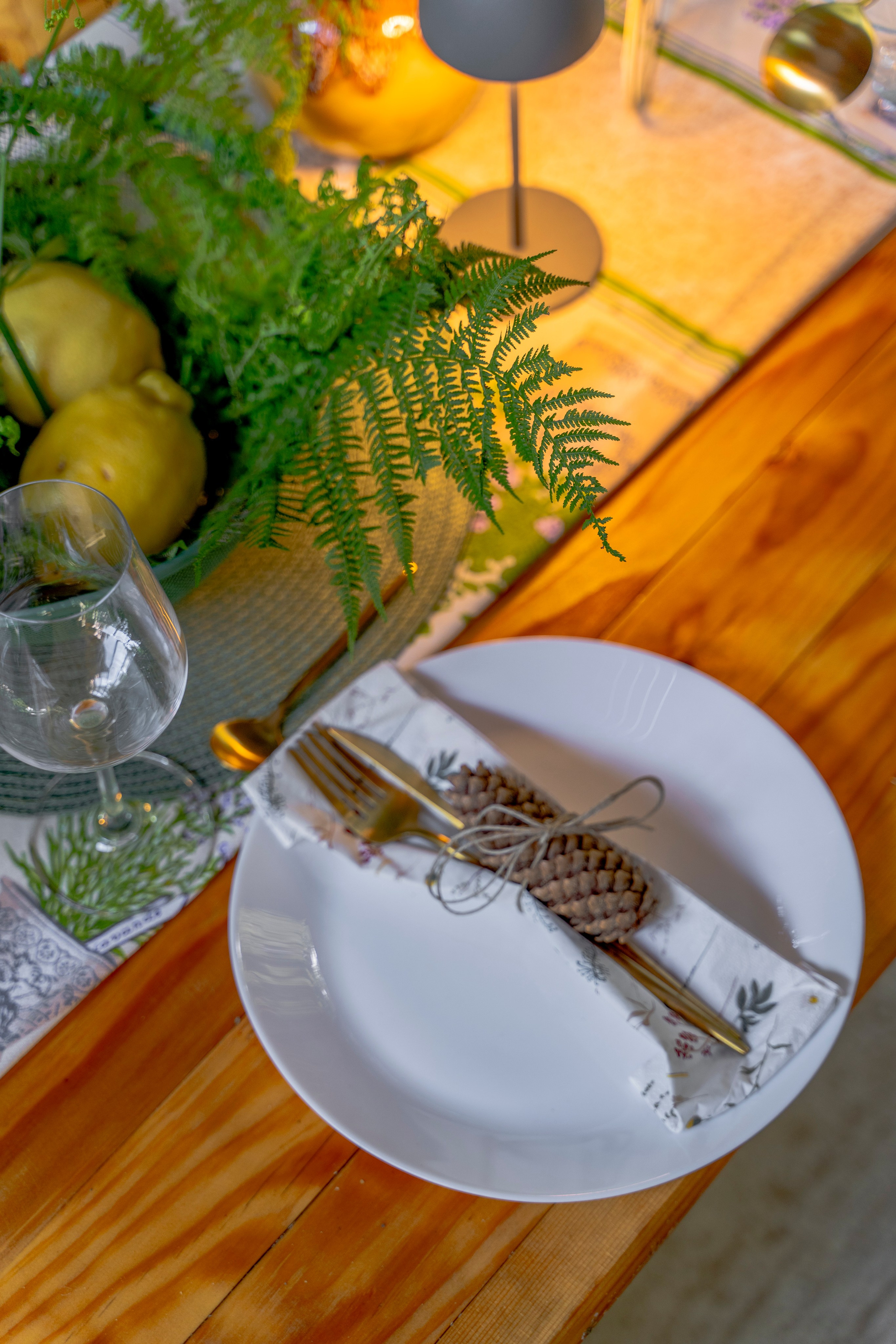 Viktorija Chalet. Photographer Liana Sudets Serbia Kopaonik Brzece Brus