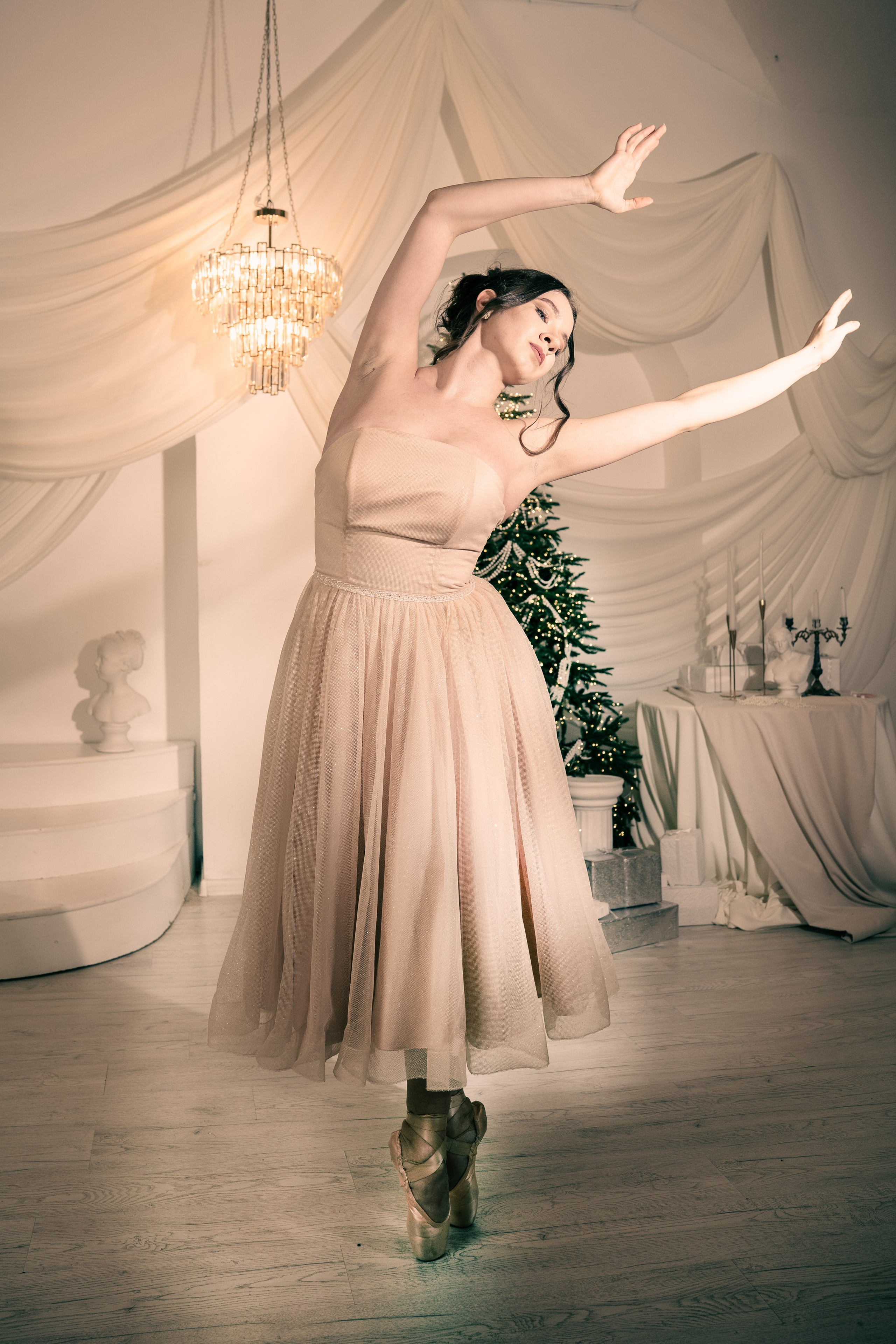 Балерина. Студийный и портретный фотограф в САНКТ-ПЕТЕРБУРГЕИрина Махаон