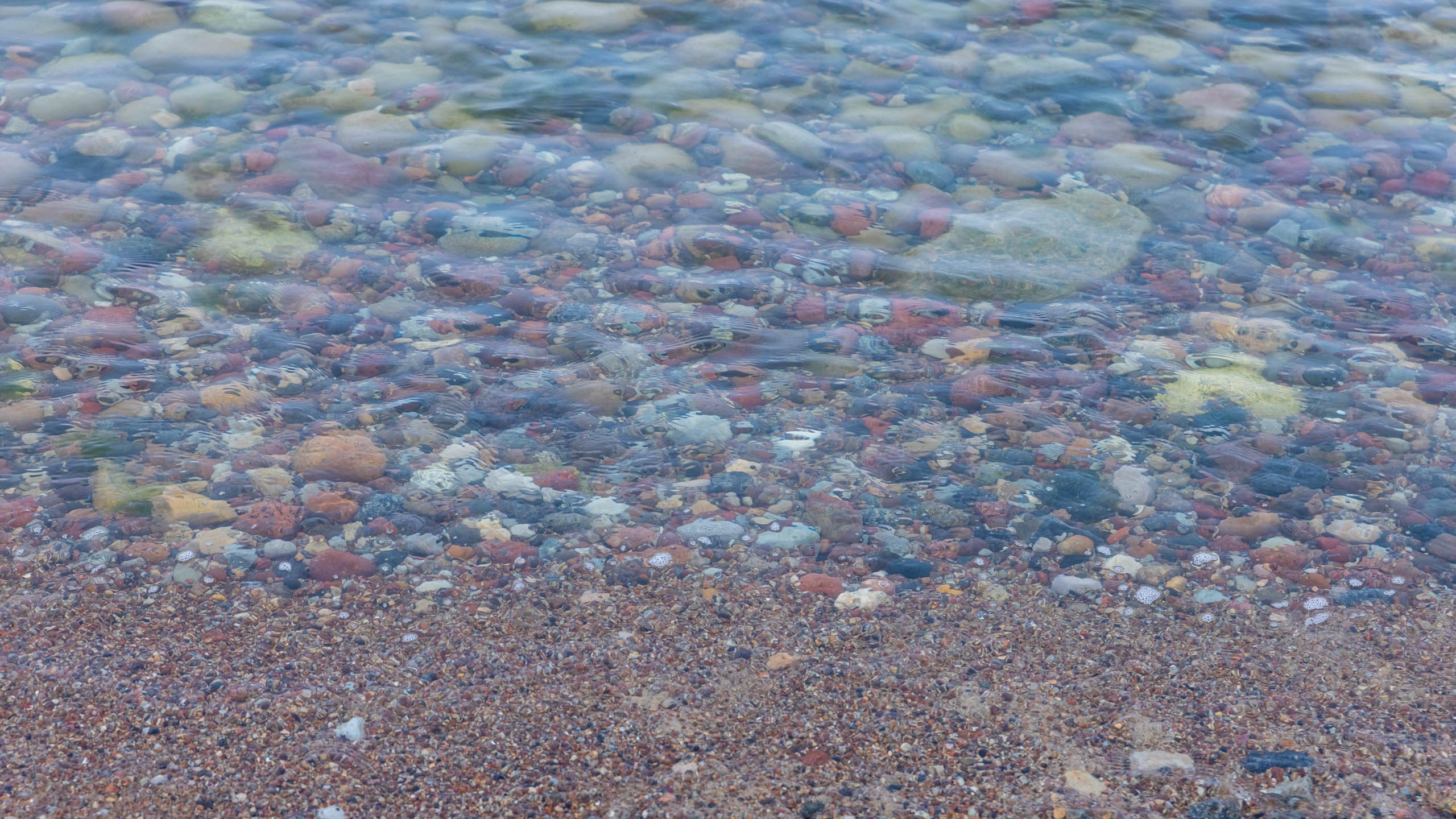 2024 10 Зеленоградск, Светлогорск, Куршская коса. Фотографии