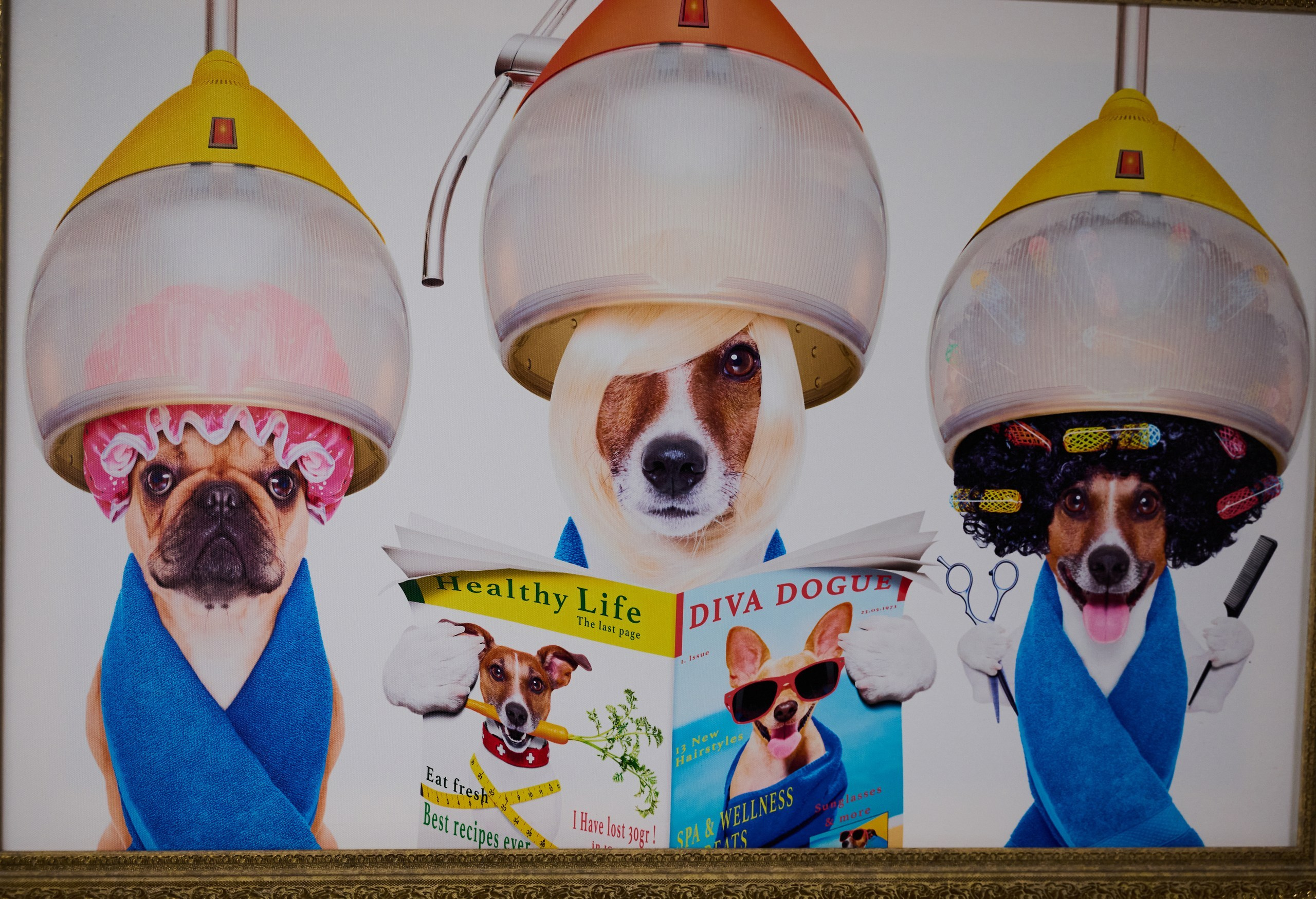 23.08.23. Свадебный фотограф во Владивостоке Гарагуля Игорь