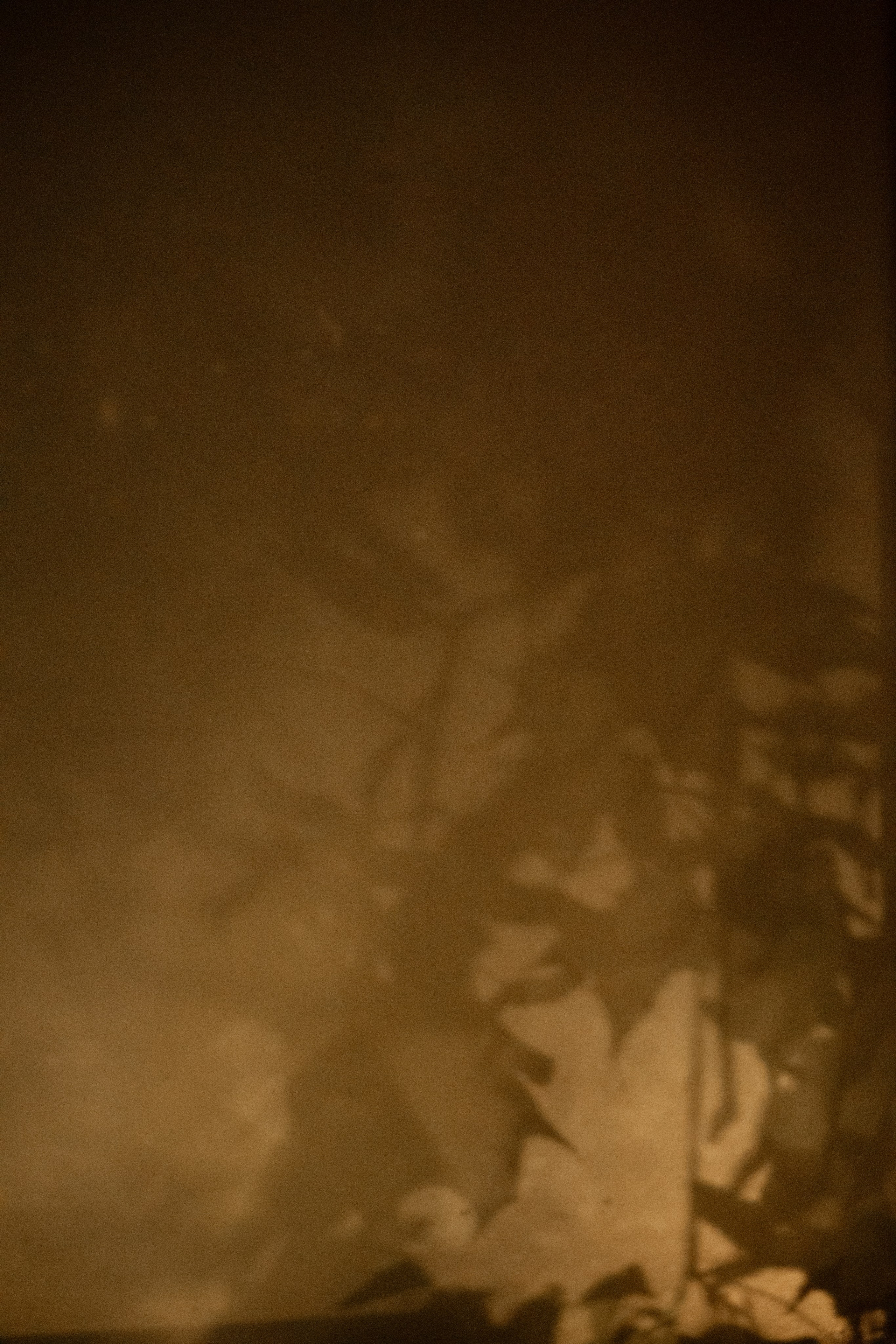 Юрий и Мария. Свадебный фотограф Тула