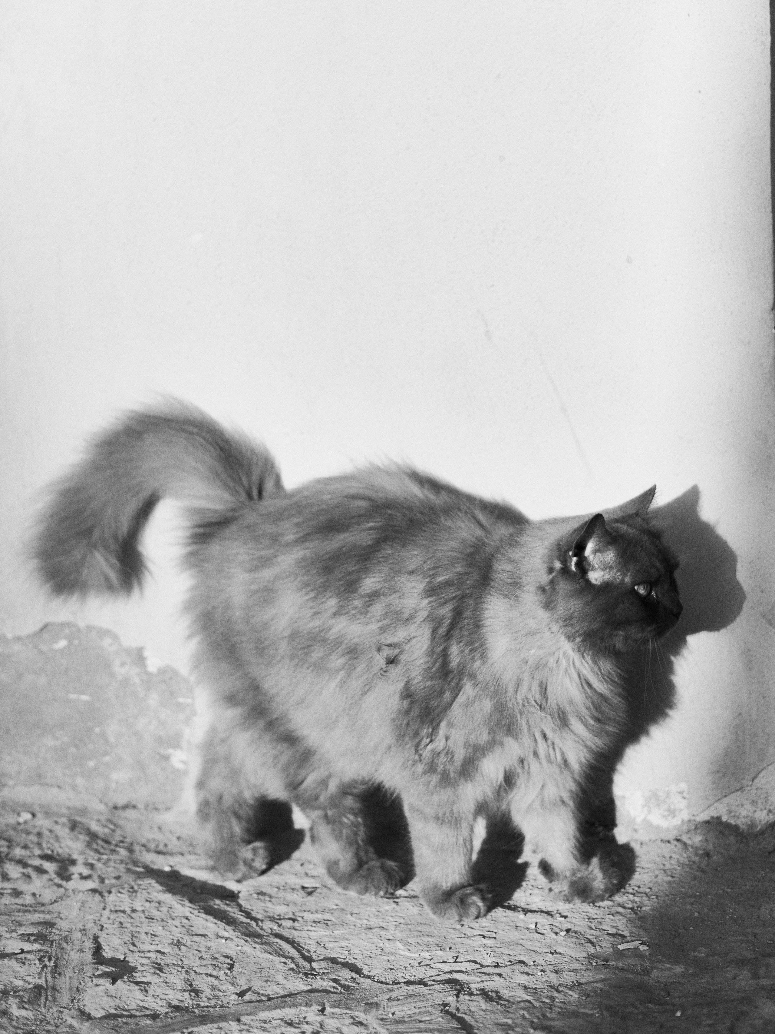 Другое 3. Jorgis Talè — photographer, kind person, teacher of arts and other mag