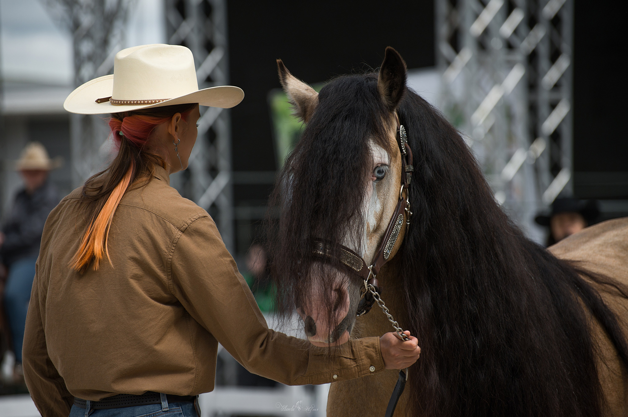 Эквирос, Москва. Конный фотограф в Саратове Юлия Иванова