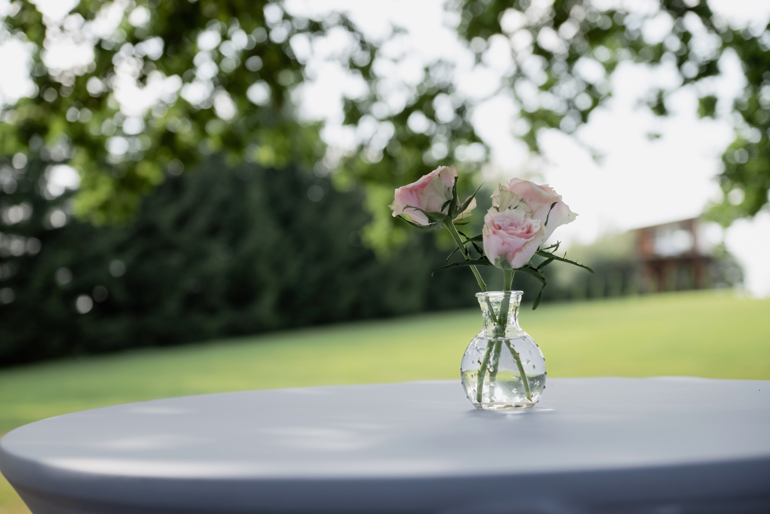 Evgeniy|Diana. Свадебный фотограф в Минске и Санкт-Петербурге Вероника Аксенова