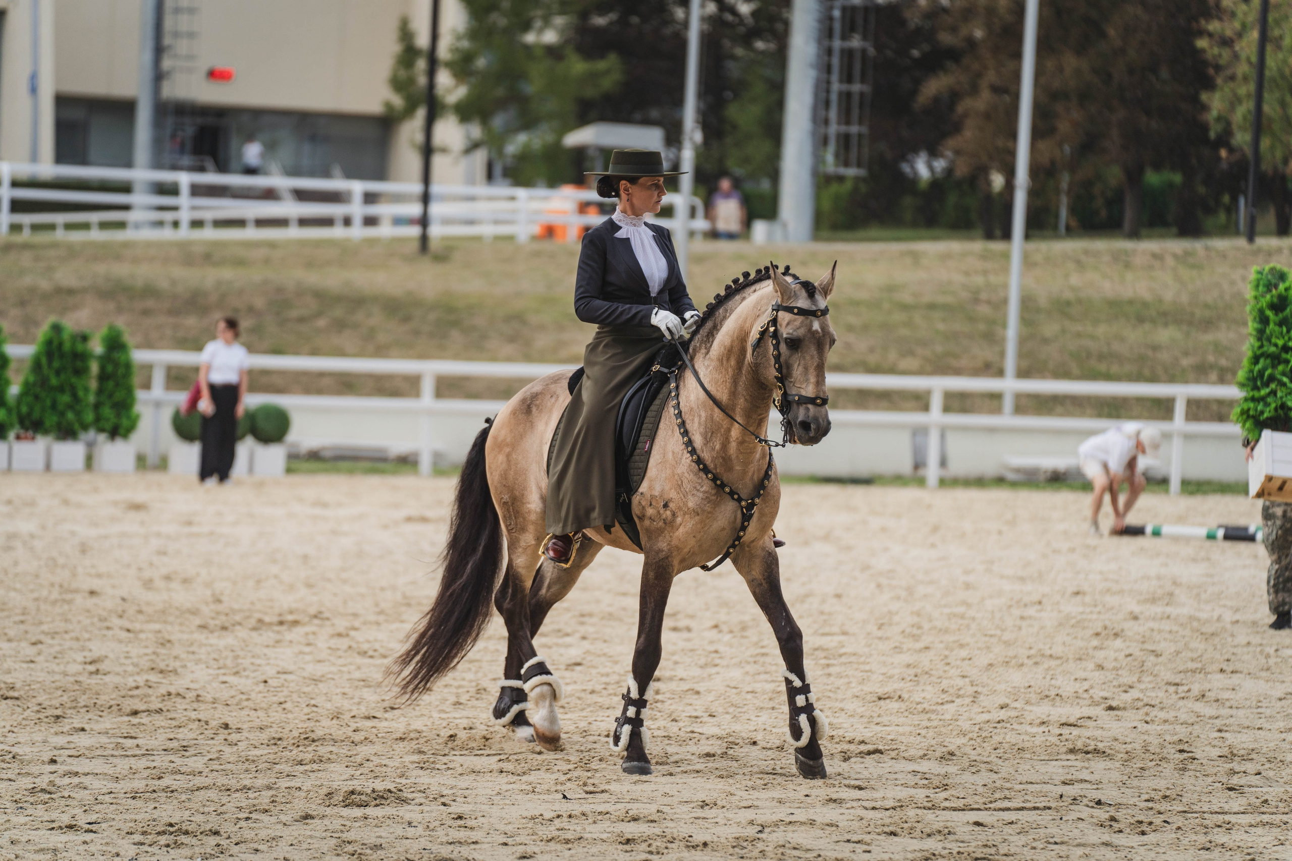 Мастер-класс по рабочей выездке. Фотограф в Москве Ленарская Дарья