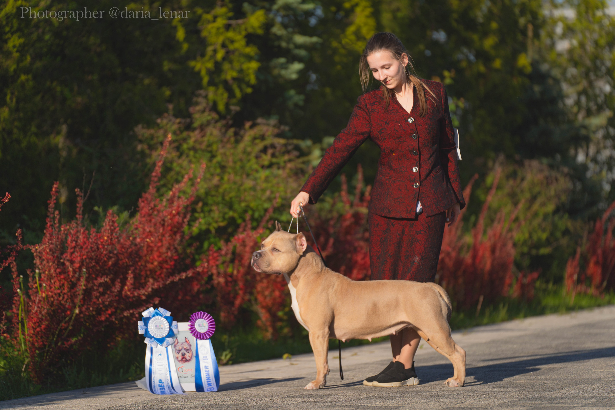 Выставки собак. Фотограф в Москве Ленарская Дарья