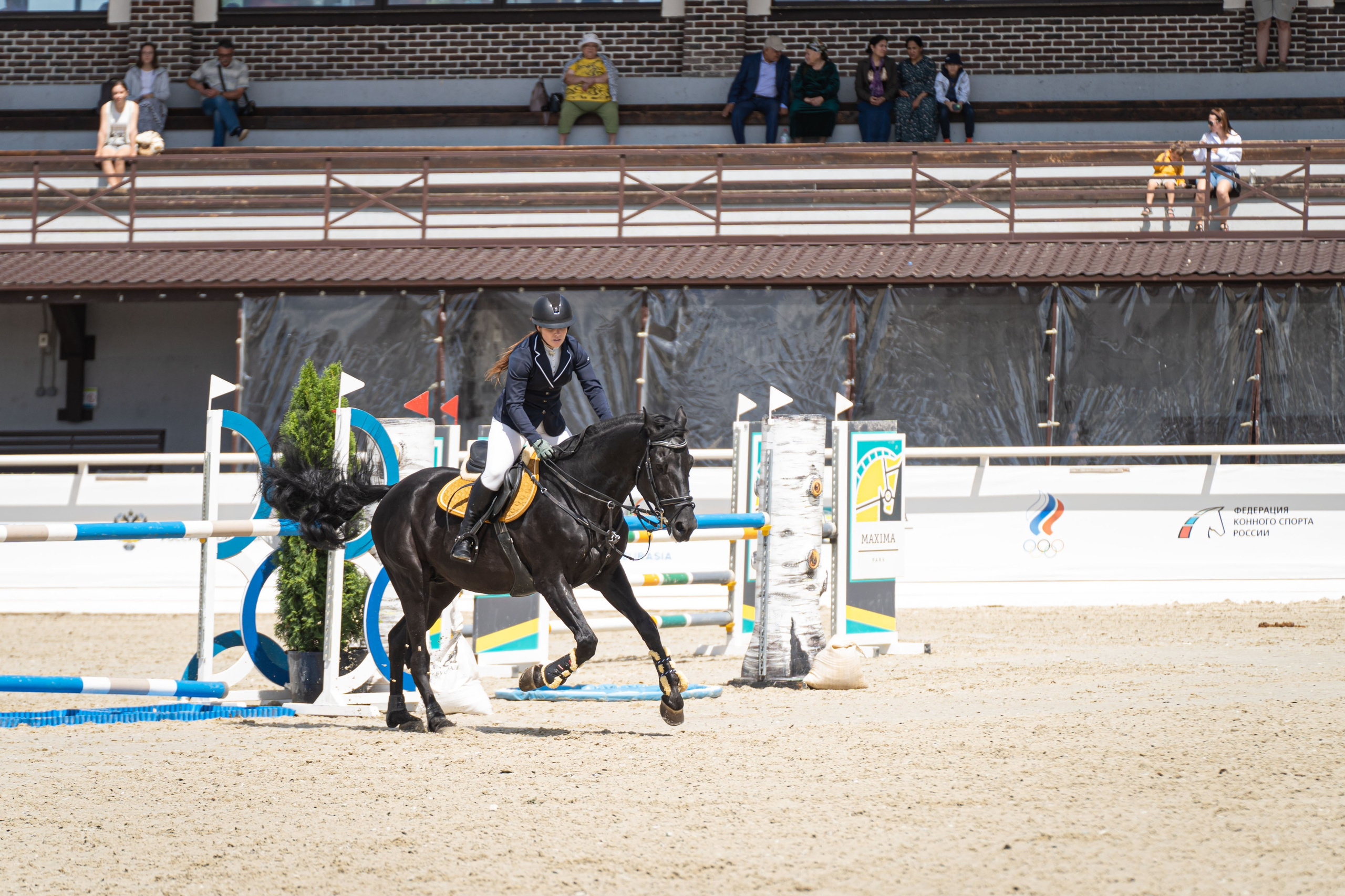 Конкур Maxima Park 22.06.2024. Фотограф в Москве Ленарская Дарья