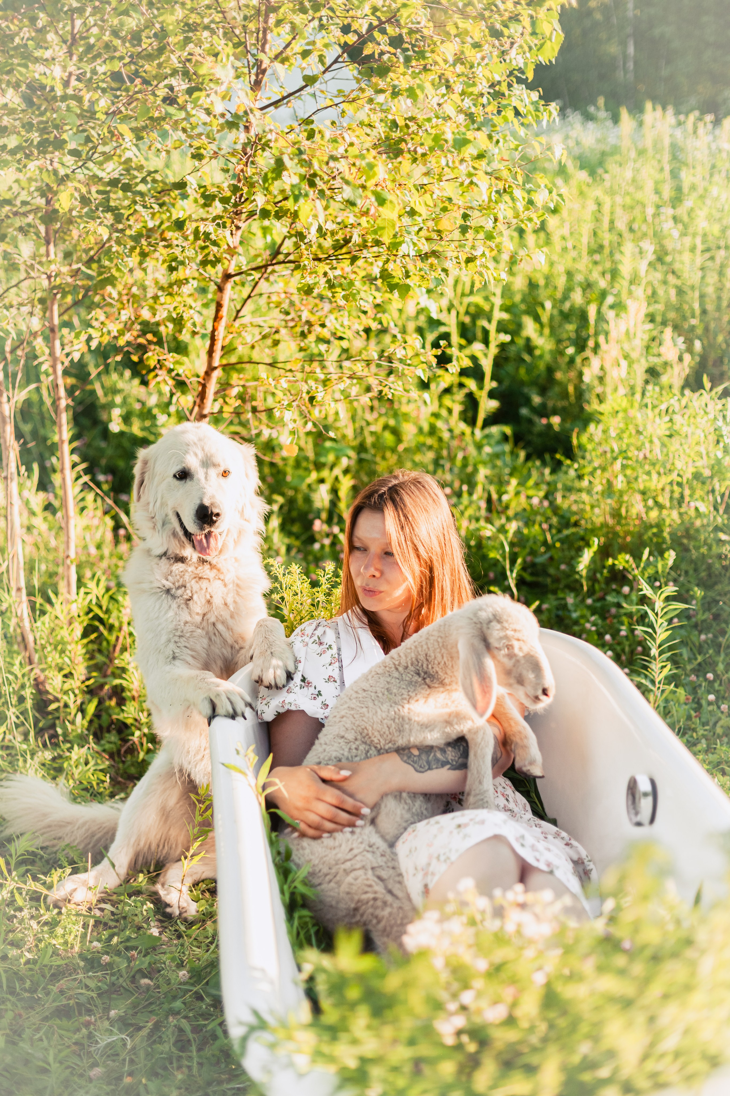 Ванна в поле. Фотограф-анималист Татьяна Степанова