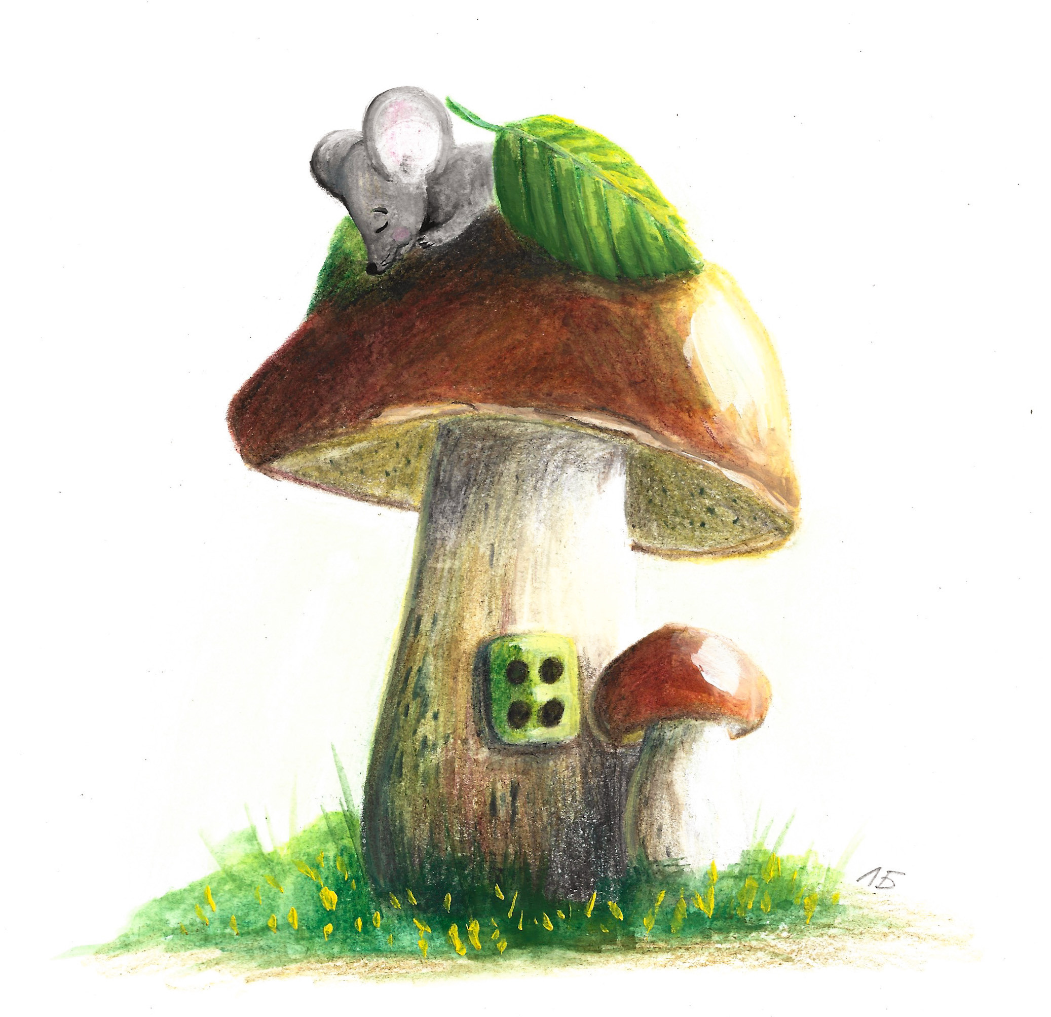 Иллюстрации