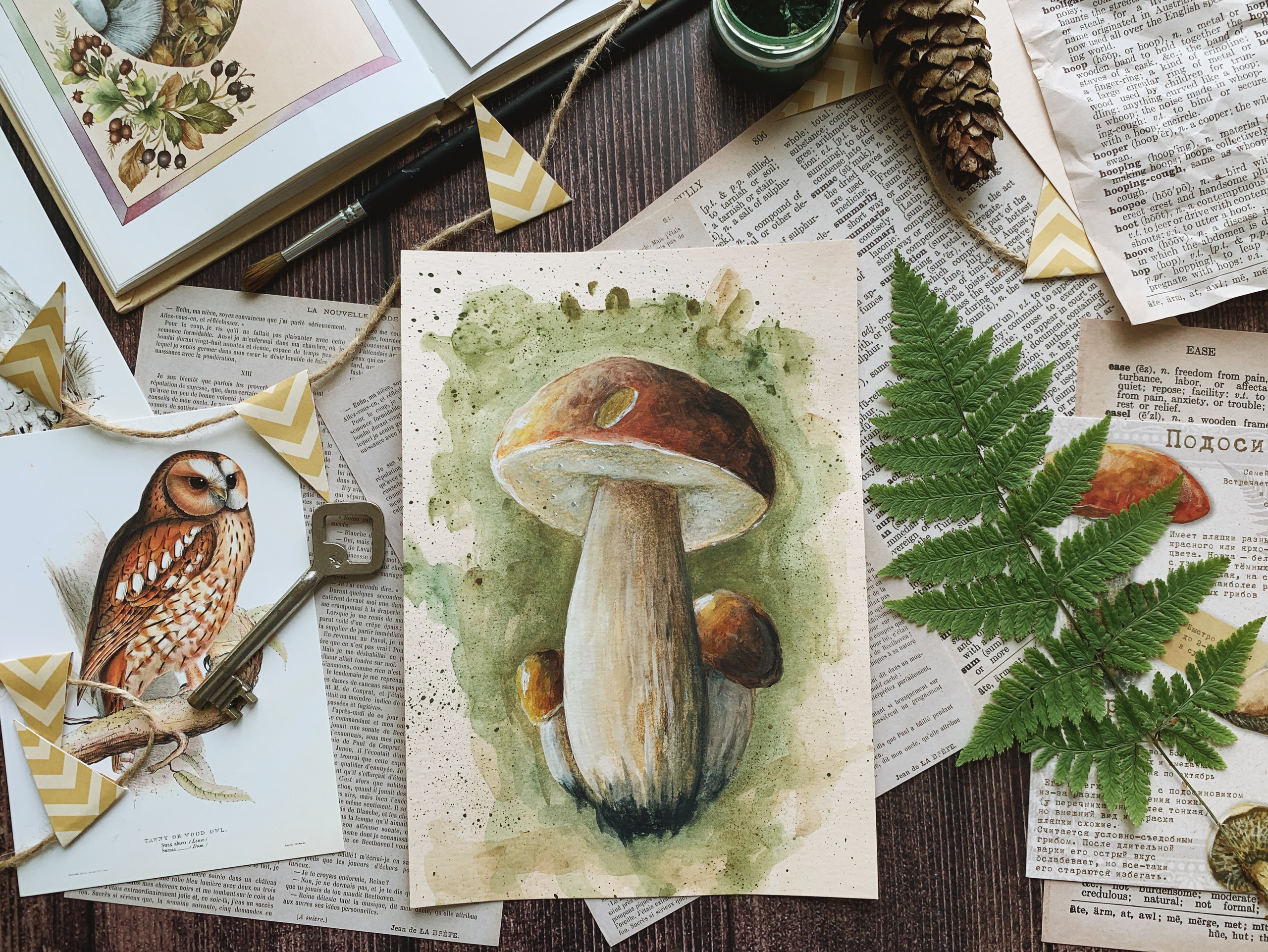 Иллюстрации