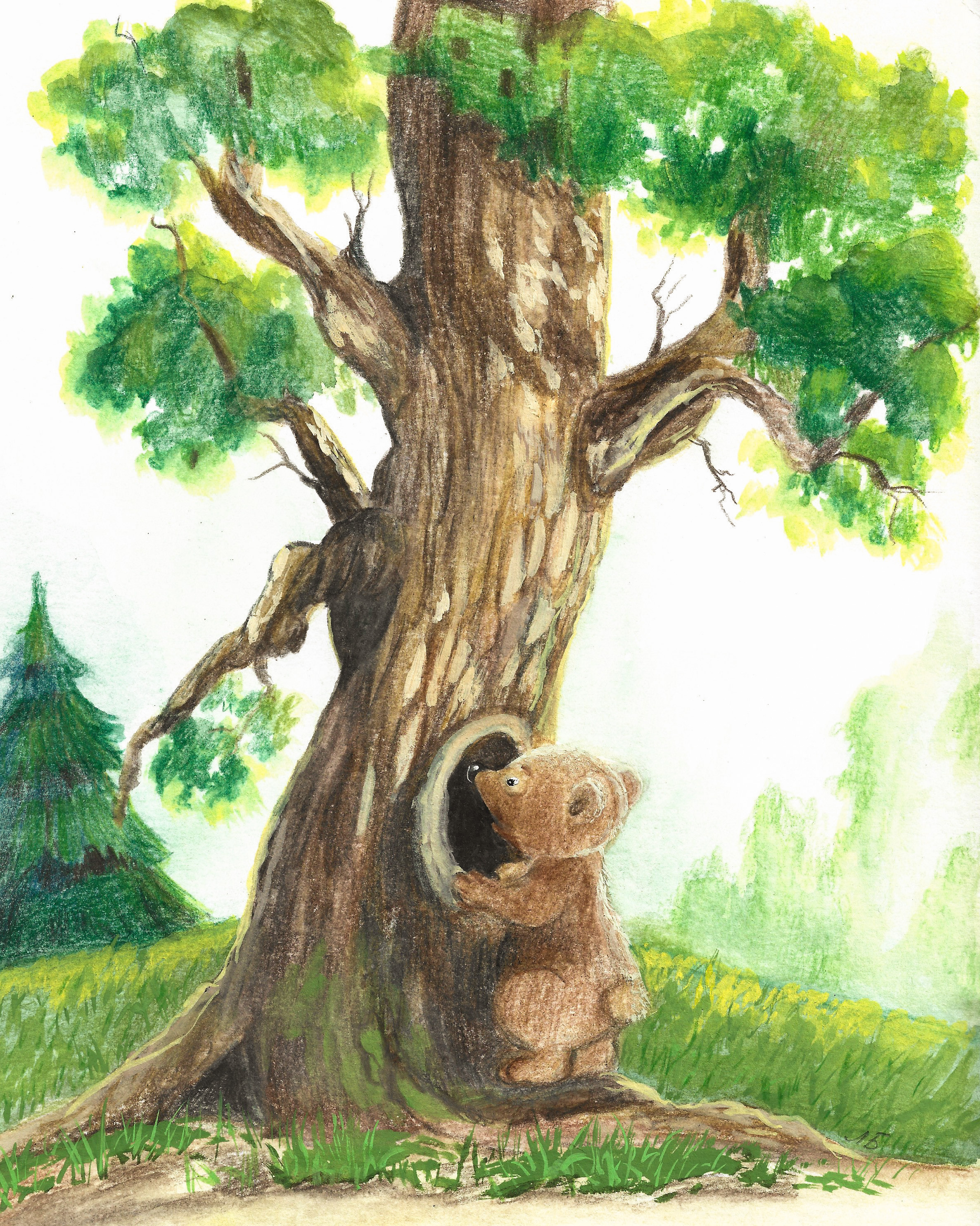 Иллюстрации