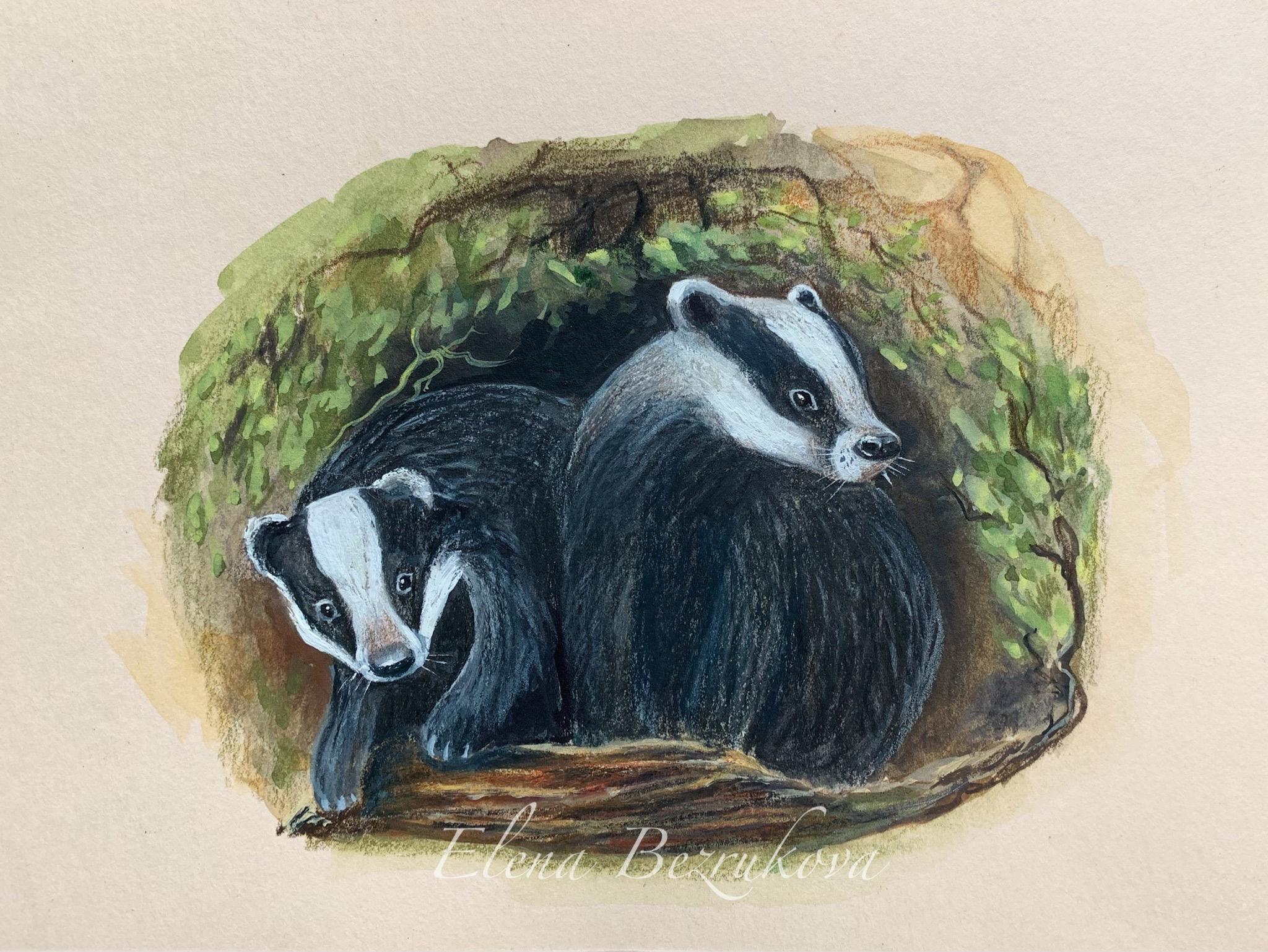 Иллюстрации