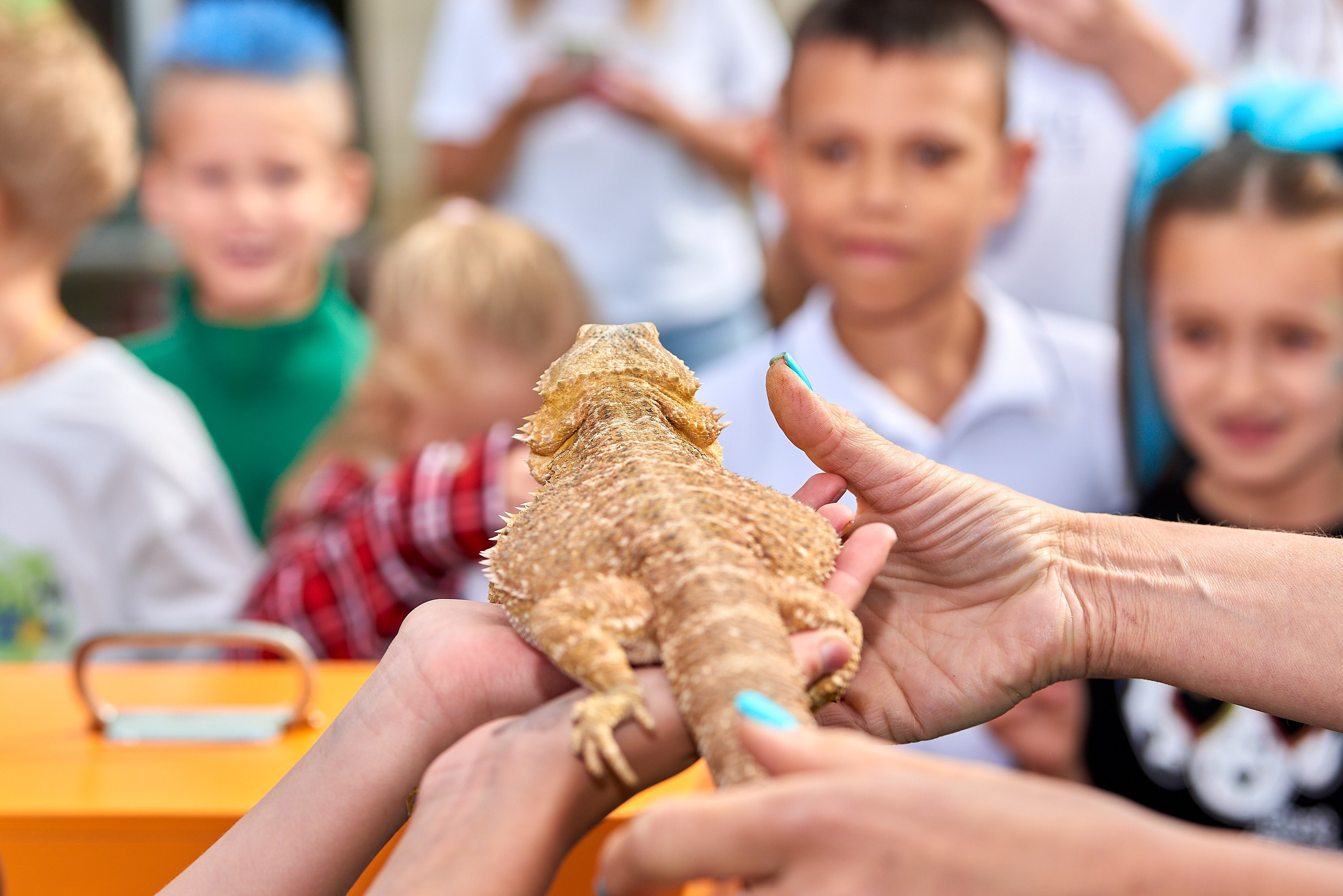 Детский фотограф в Москве