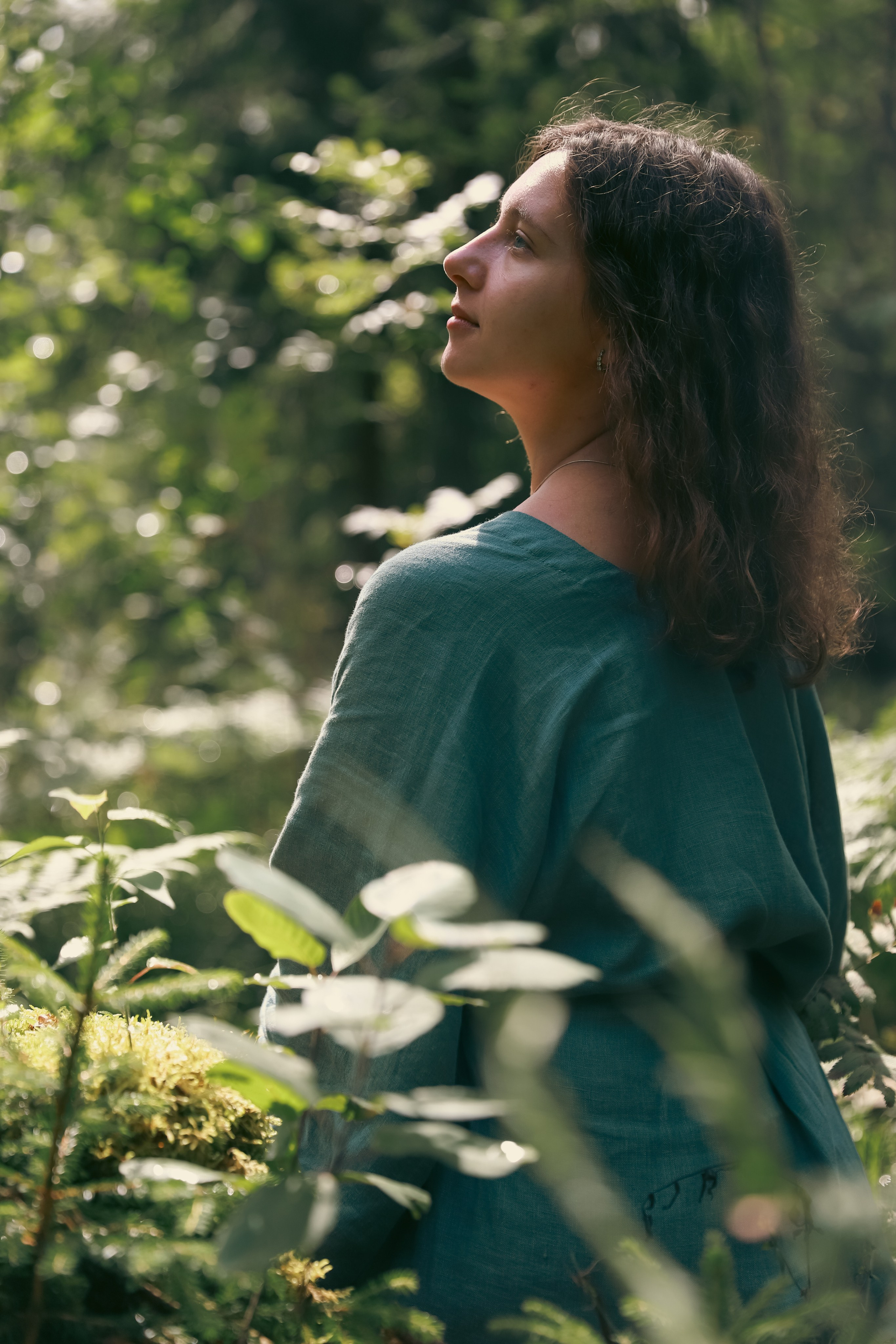 Фестиваль Жива