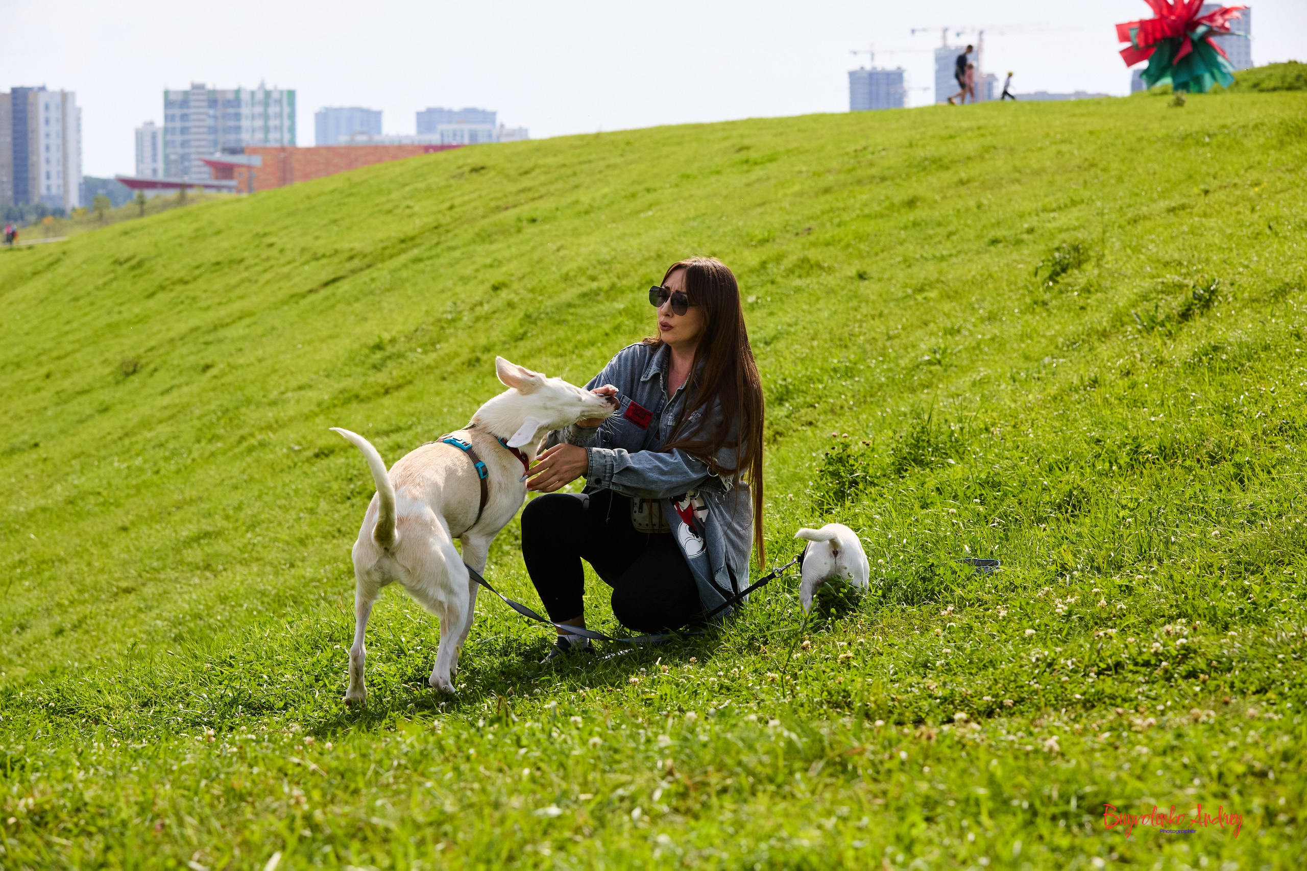 Проект фотопрогулка с хвостиком. Buyvolenko Andrey