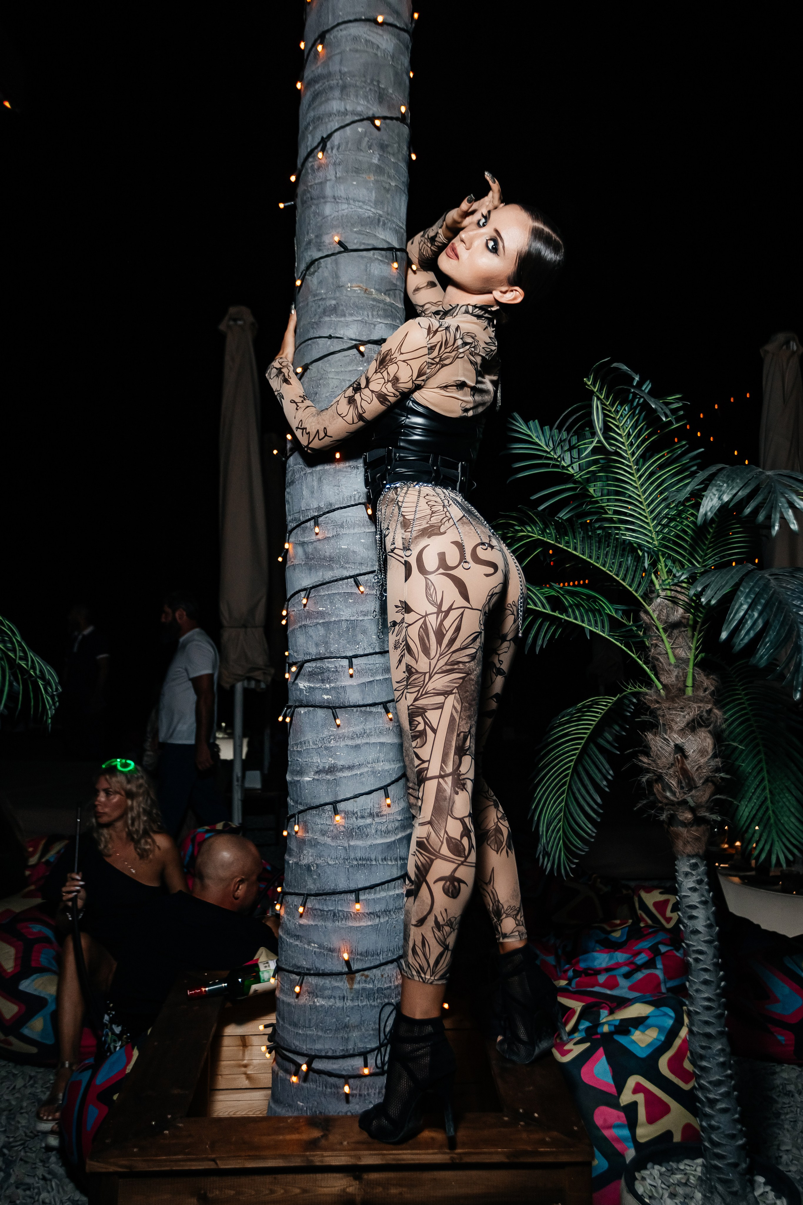 Чайка_на_пляже_Андро_Ялта_24.08.2024. Аминов Руслан | Фотограф