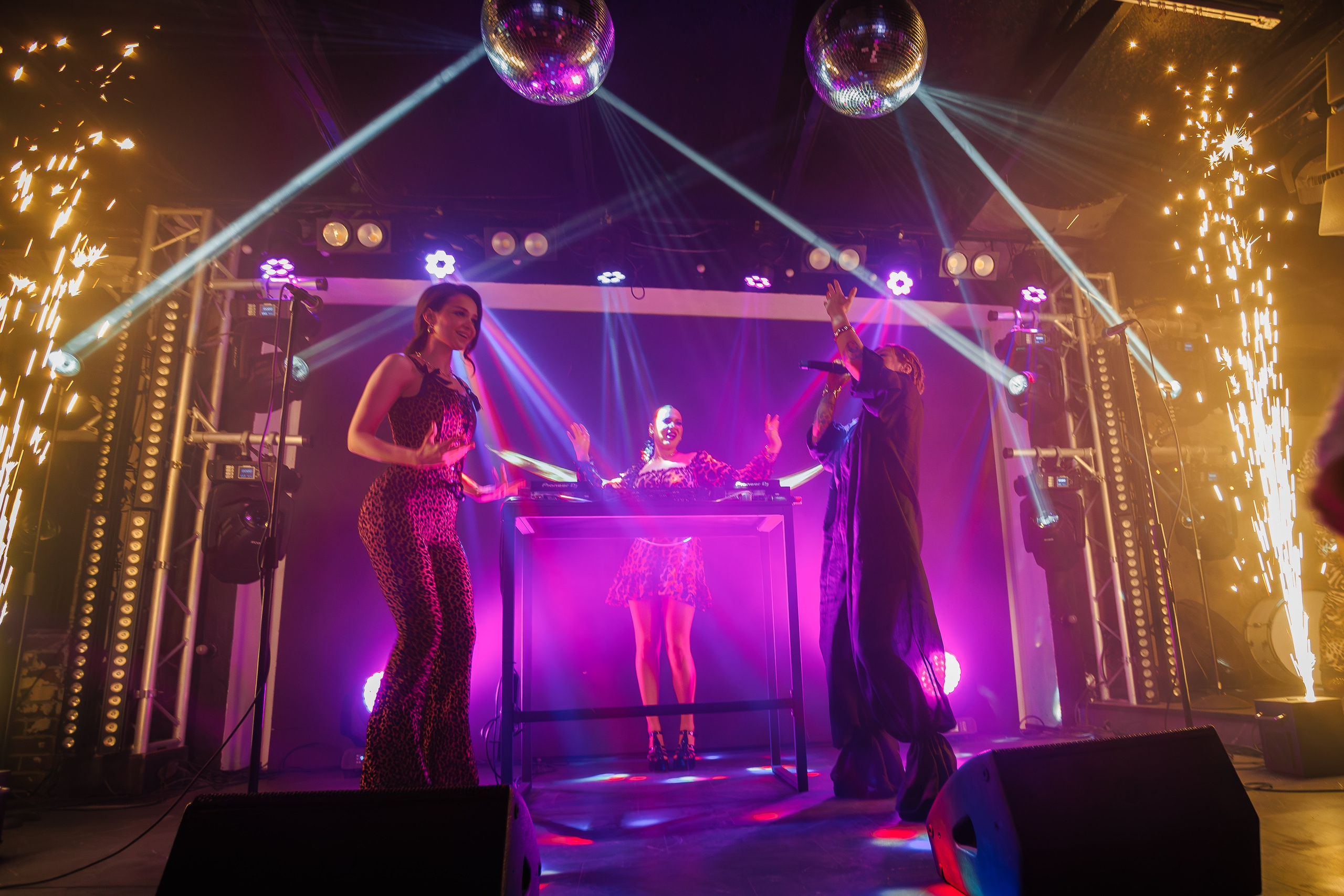 «LIZWI"_Чайка на пляже_Ялта_7.06.2025. Аминов Руслан | Фотограф