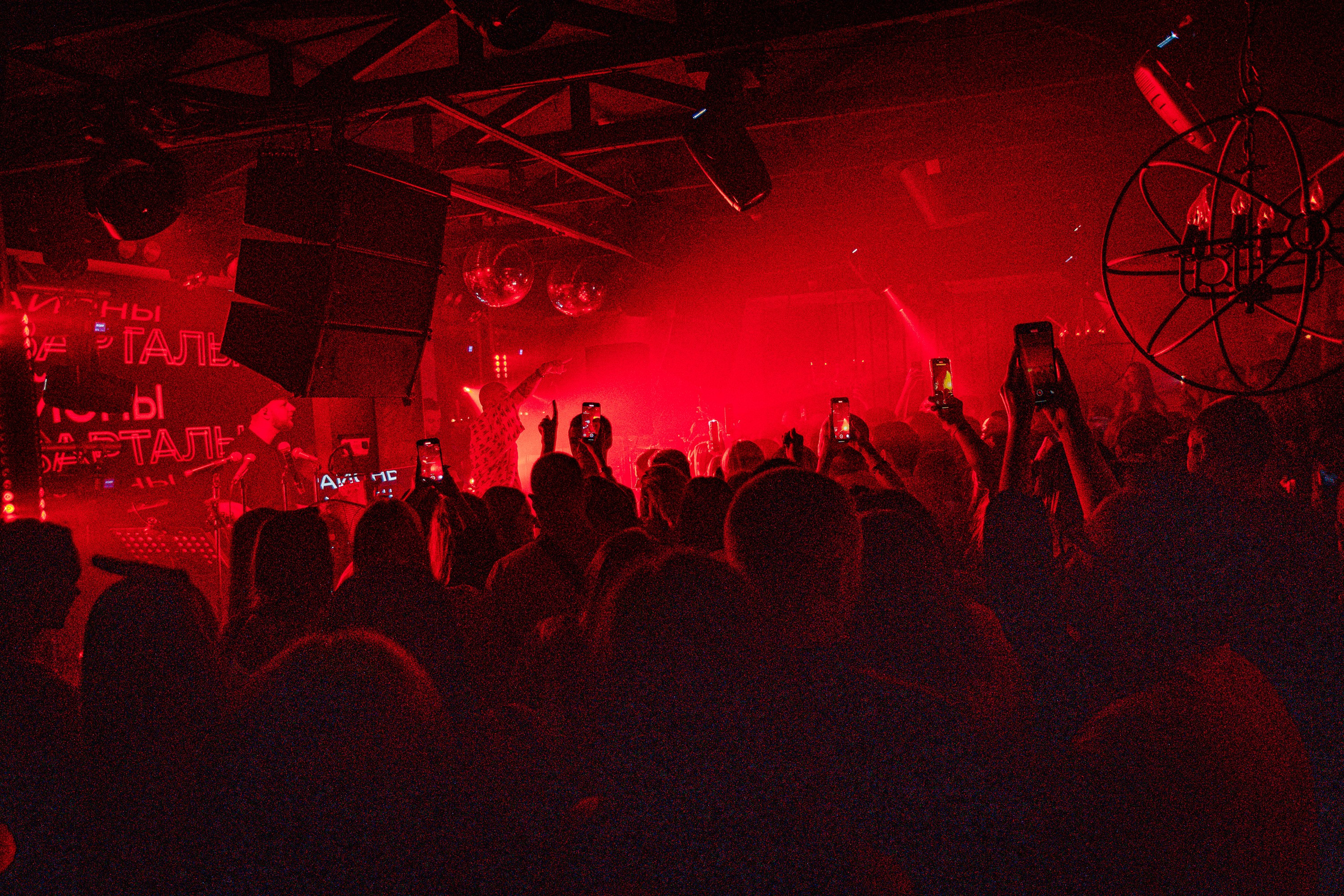 «Лёша СВИК"_Чайка на пляже_Ялта_04.07.2025 г. Аминов Руслан | Фотограф