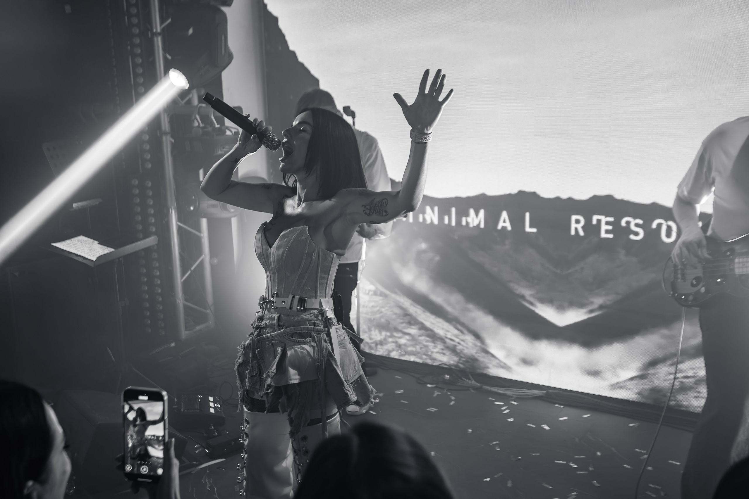 «Юлия Волкова"_Чайка на пляже_Ялта_2.08.2025 г. Аминов Руслан | Фотограф