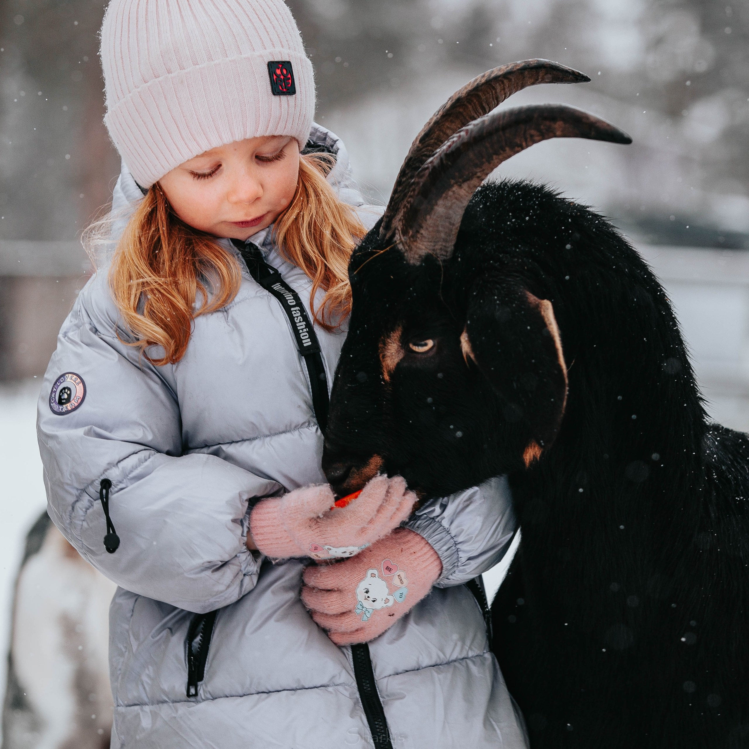 Семья. Фотограф Елизавета Филатова