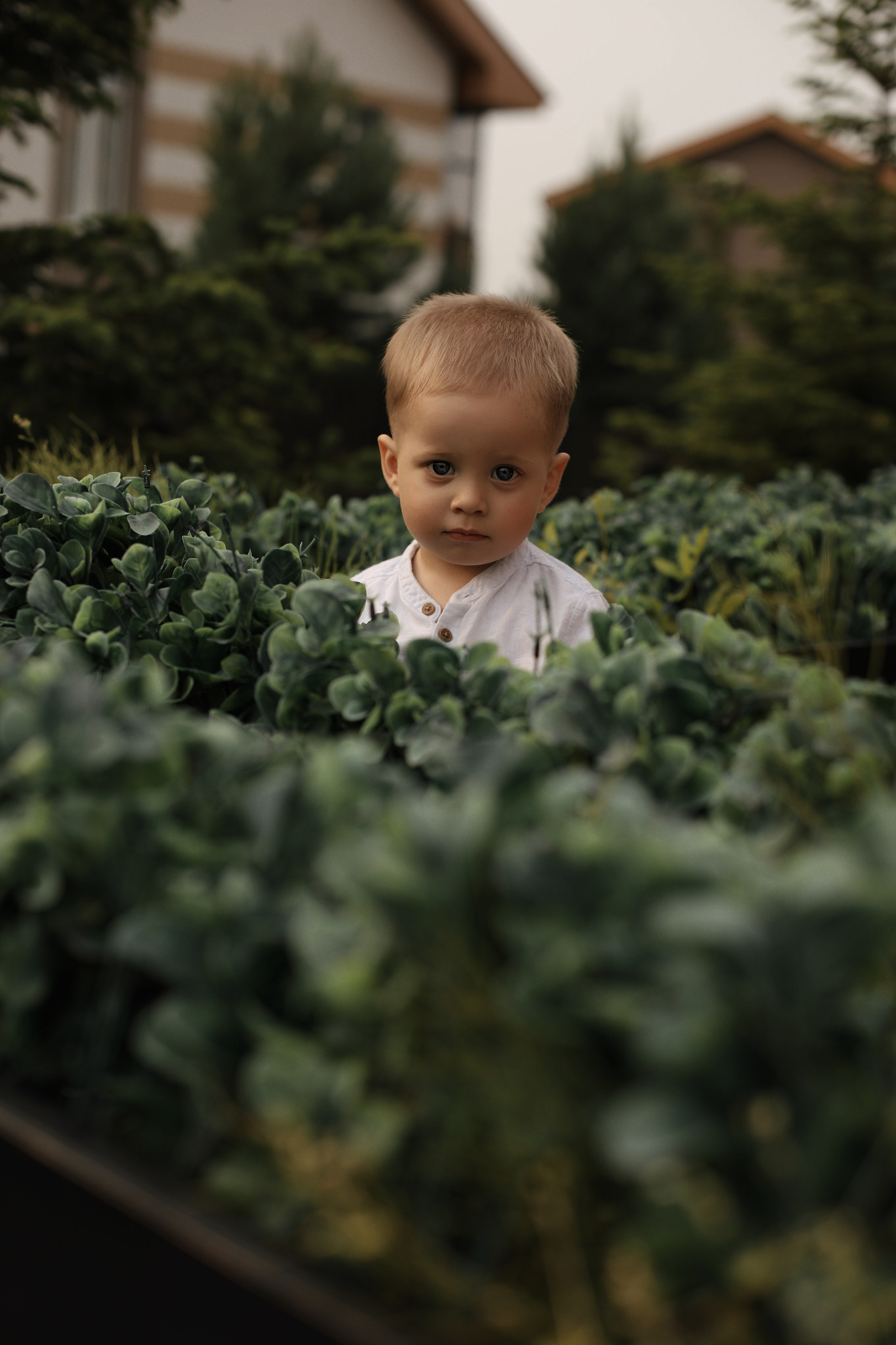 Family love. Семейный и свадебный фотограф в Хабаровске
