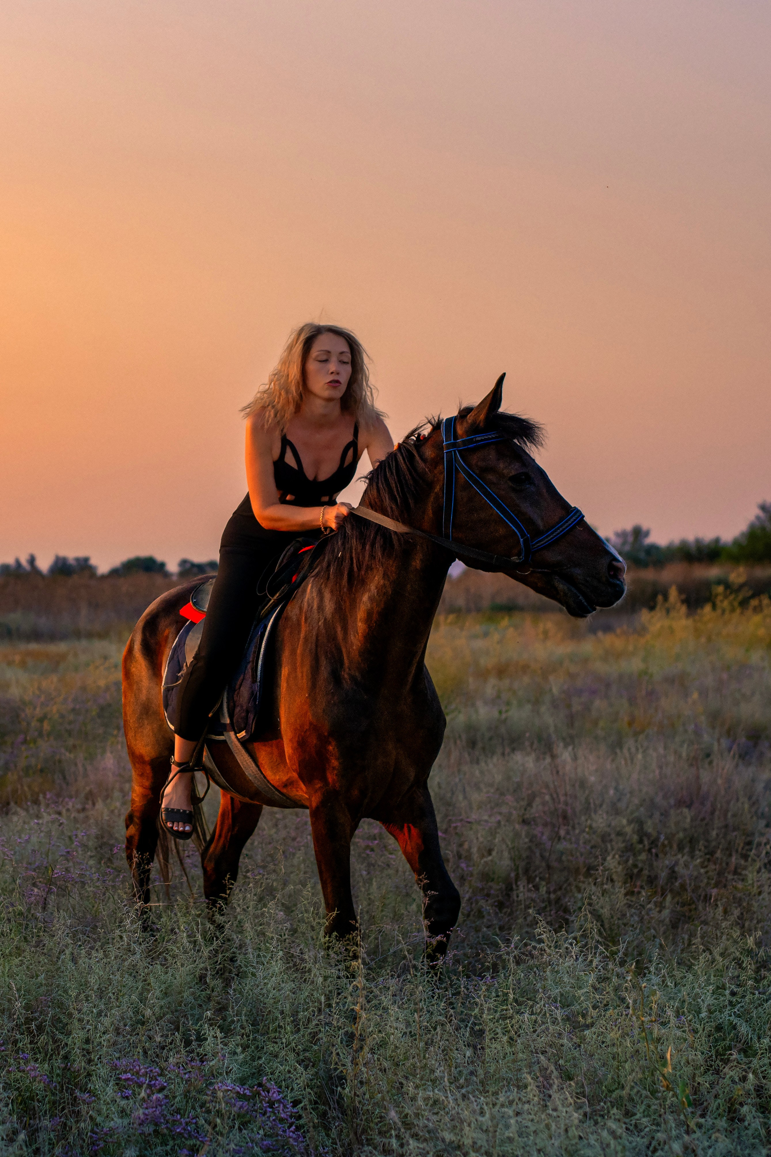 Леди и лошадь. Главная
