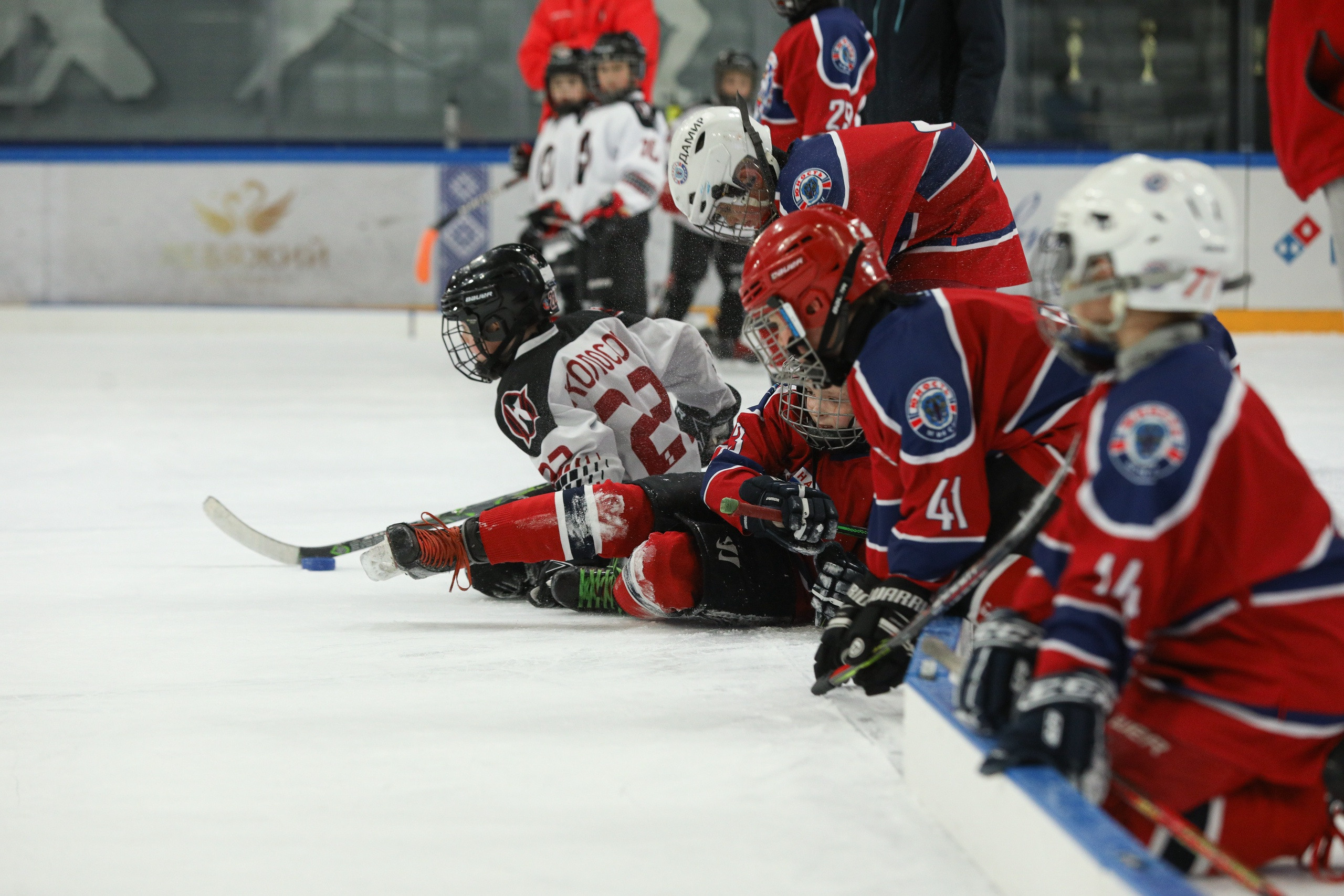 Спортивные события. Репортажный фотограф Александр Задорин, Минск, Беларусь