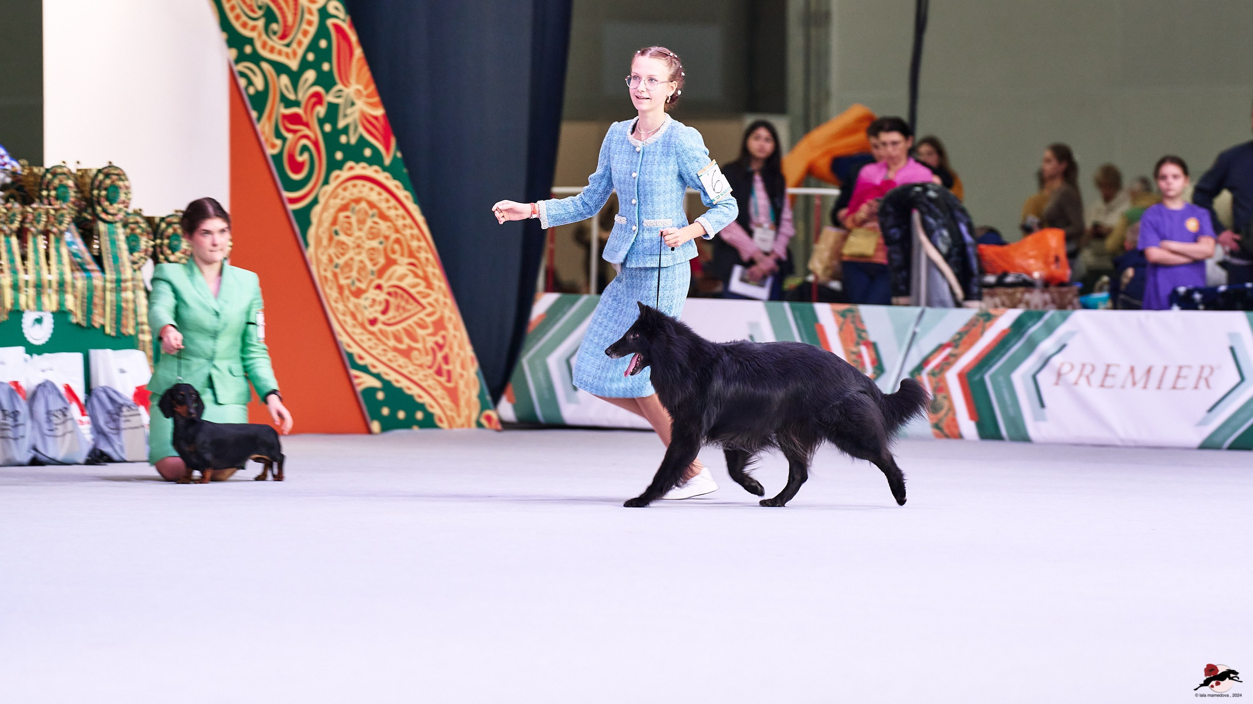 16.11.2024 «ЕВРАЗИЯ. КУБОК ПРЕЗИДЕНТА РКФ 2024»