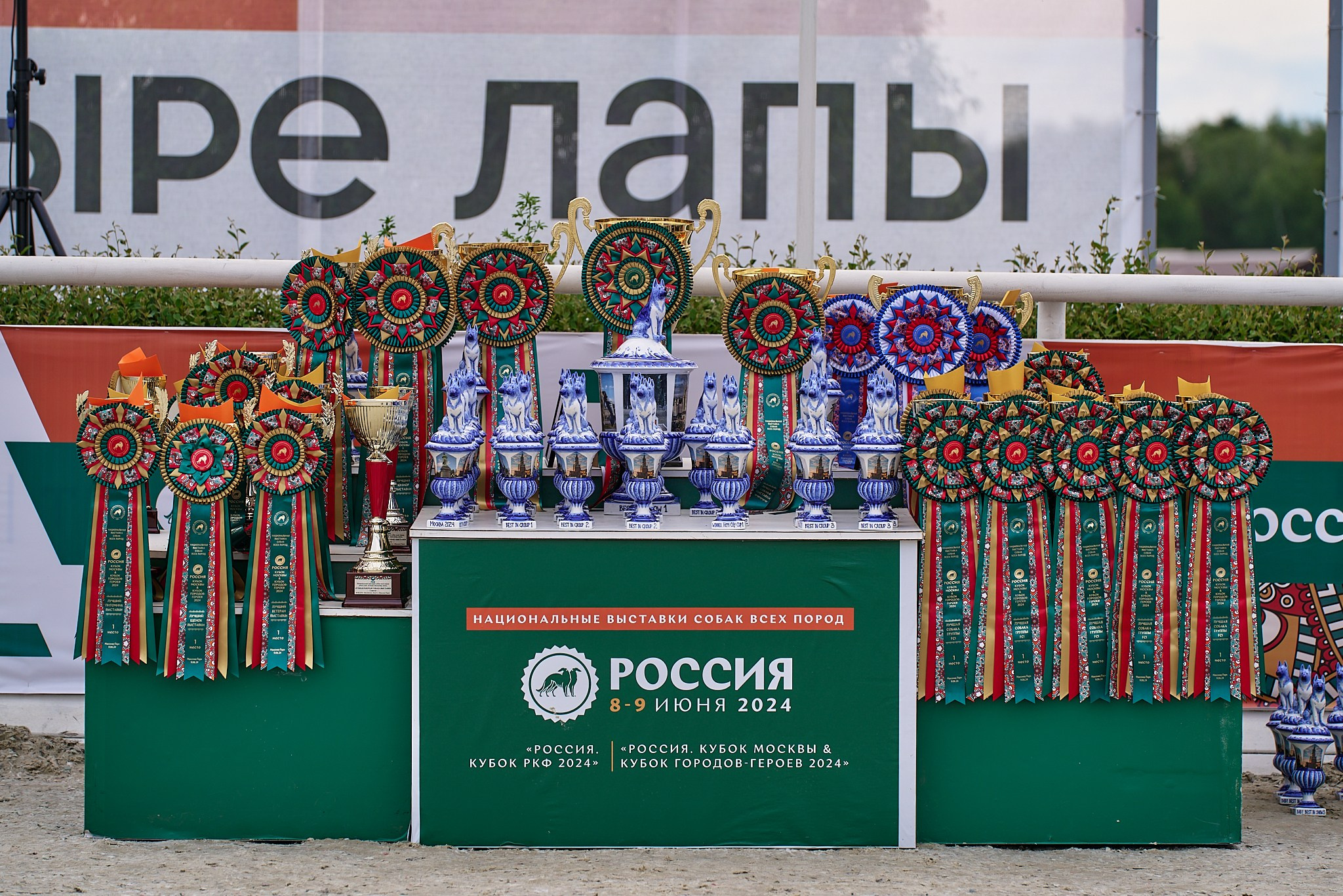 09.06.2024, «РОССИЯ. КУБОК МОСКВЫ 2024 & КУБОК ГОРОДОВ-ГЕРОЕВ»