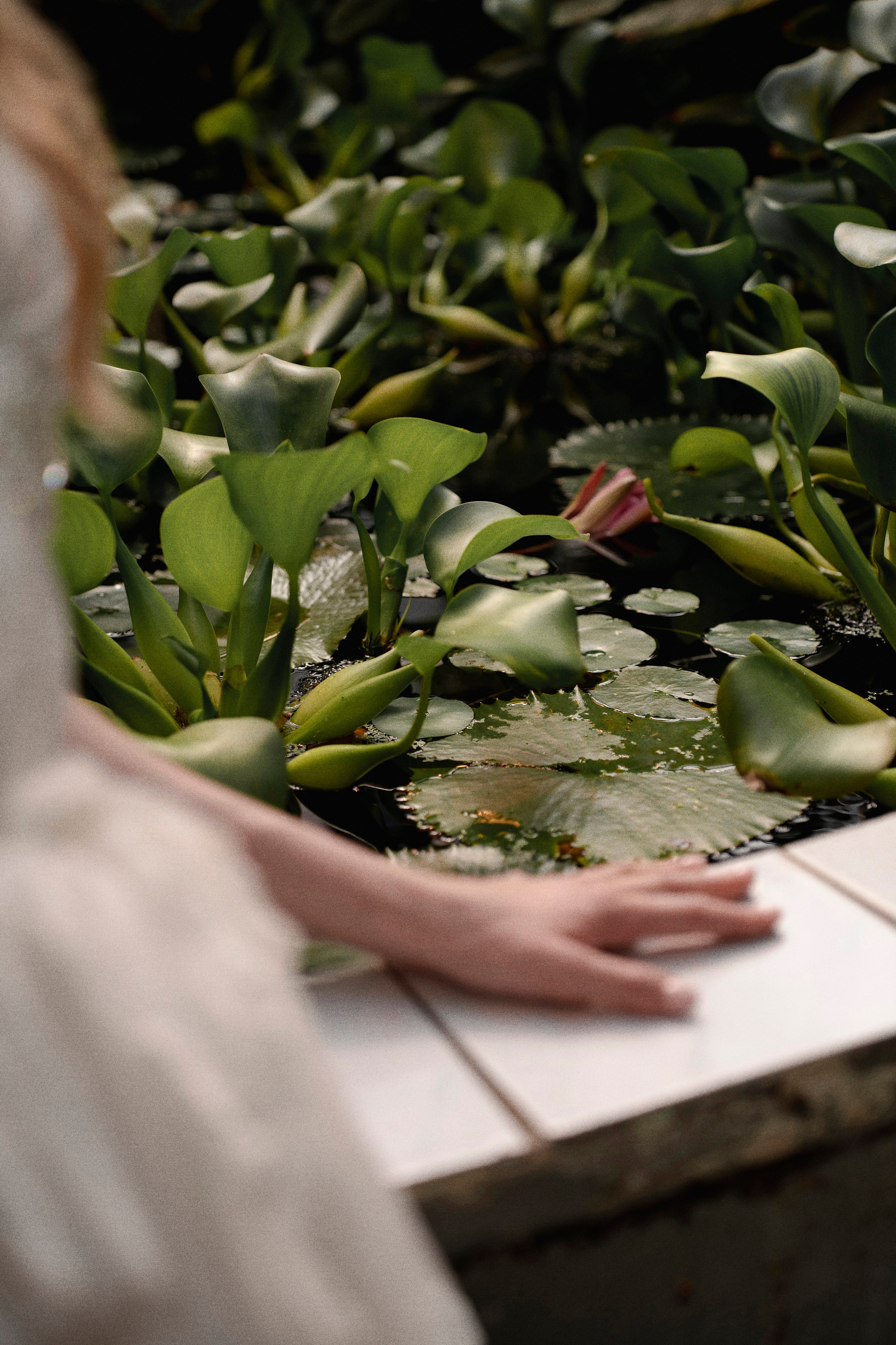 Андрей ♥ Анастасия. Свадебный фотограф Алексей Малышев в Екатеринбурге