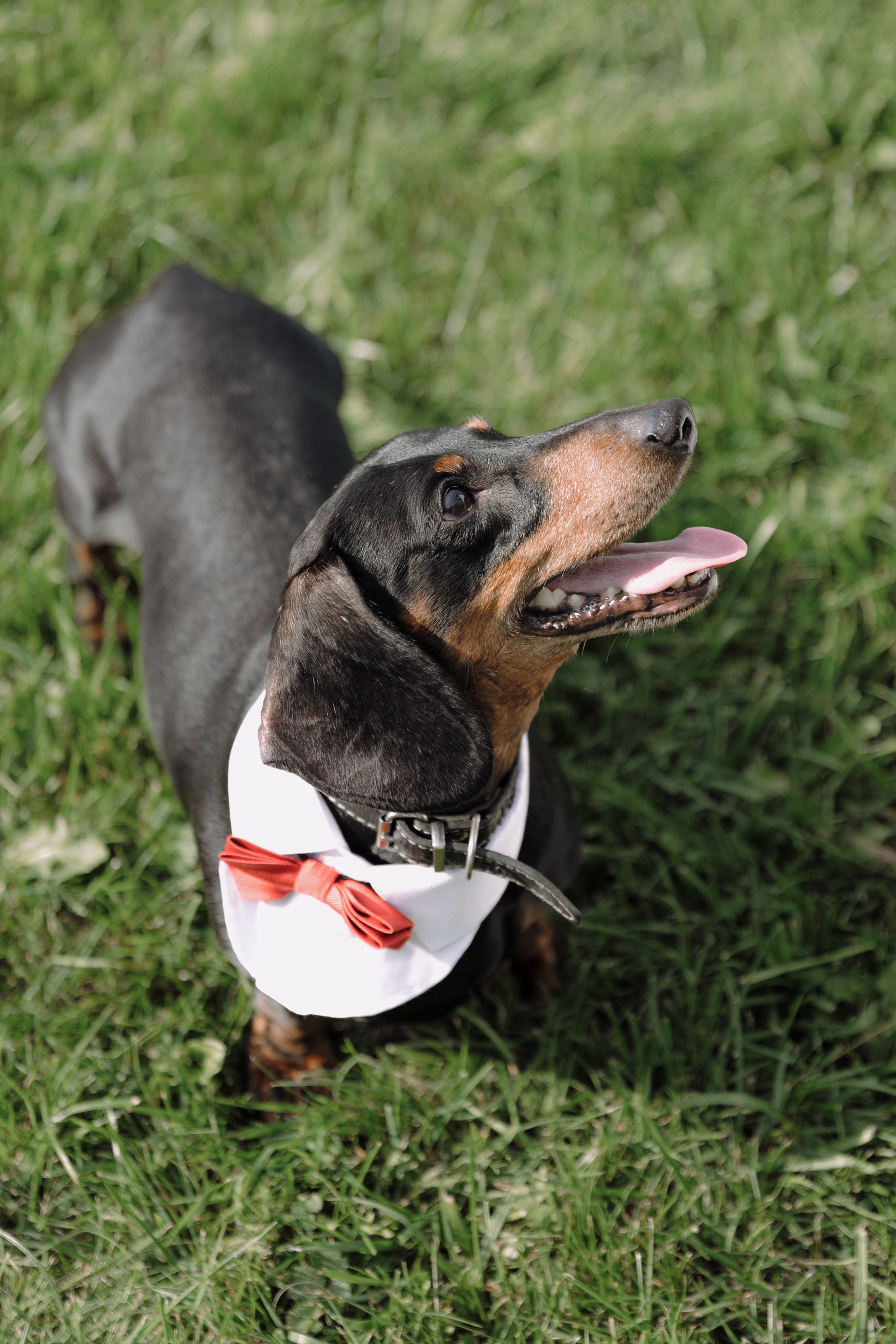 Artem & Anastasia. Главная