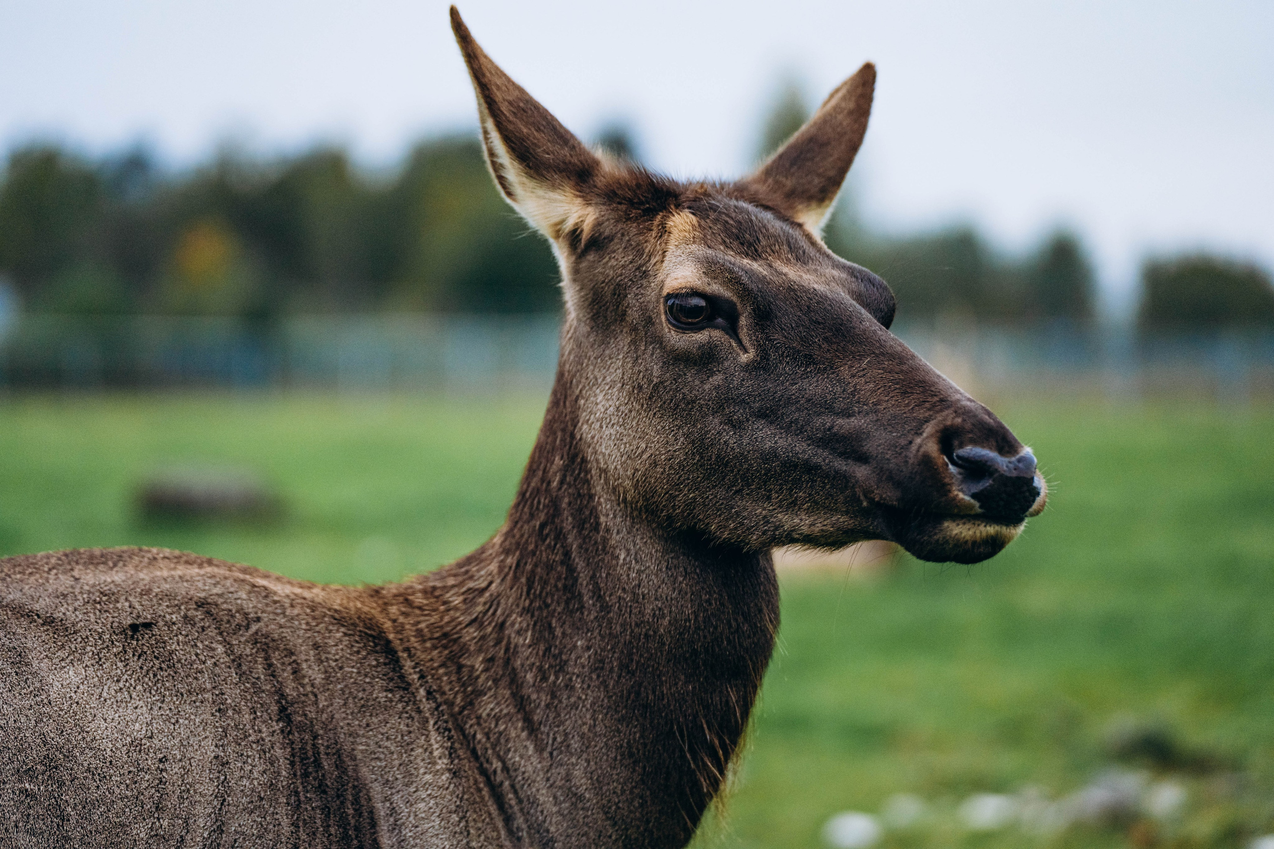 СЕВЕР. Event фотограф Степанова Александра