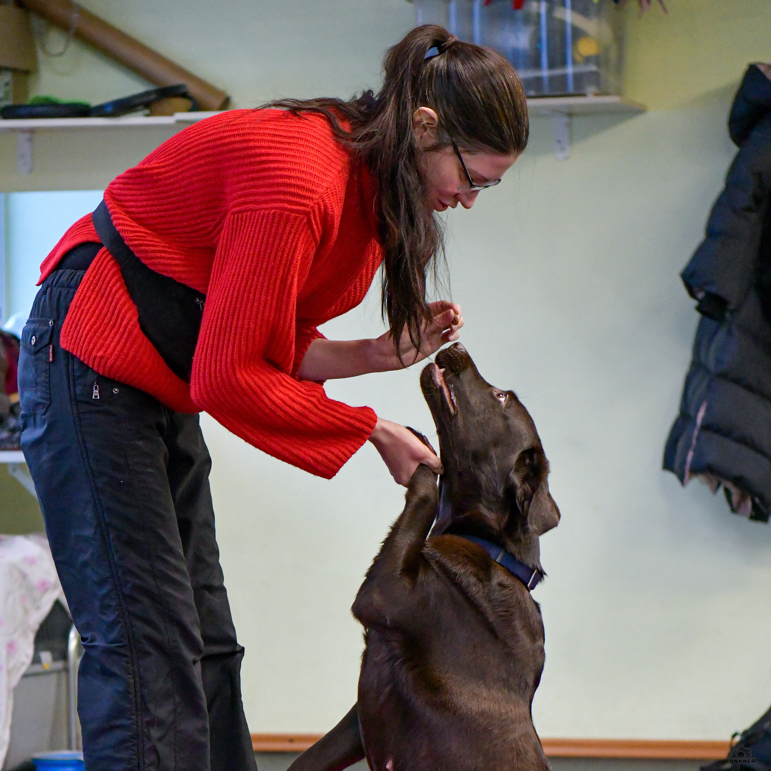 Кинологический клуб «Бодрый хвост». Свой взгляд через объектив