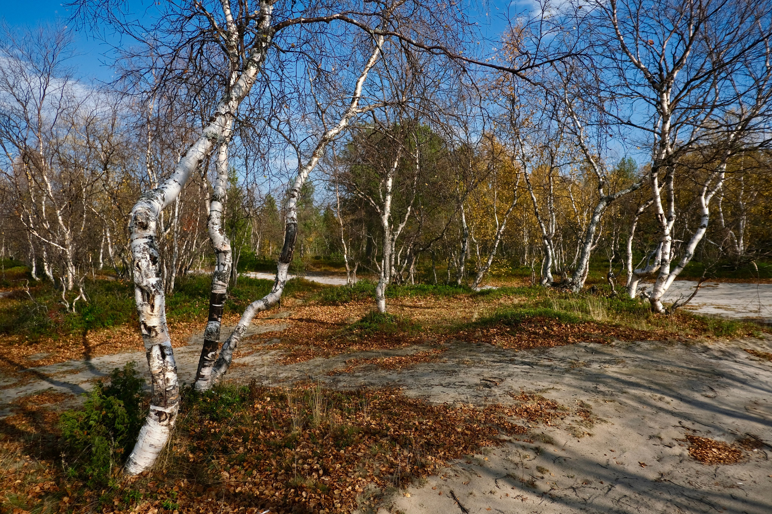 Мурманская область. Фотограф Евгений Андреев