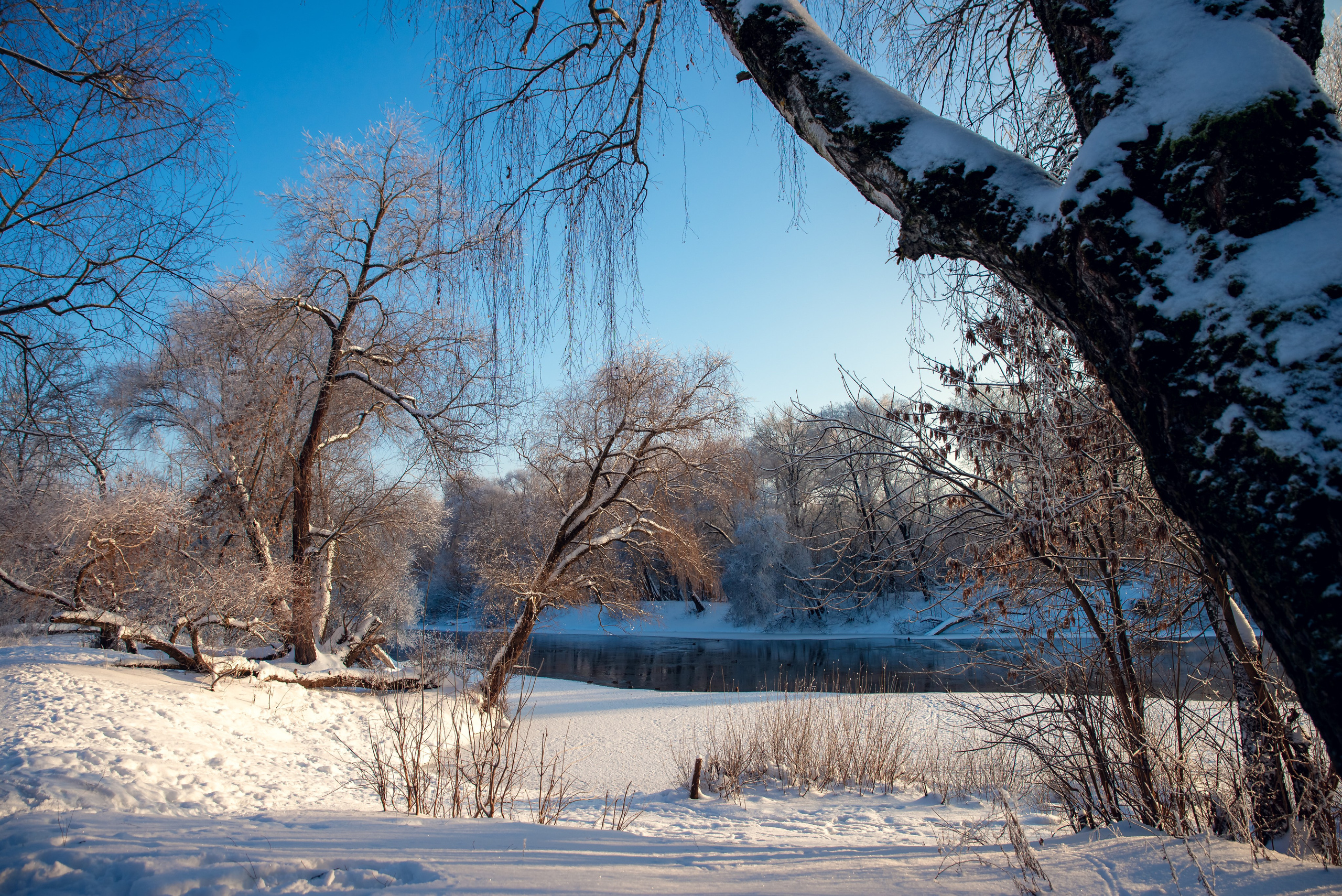 Зимушка зима. Фотограф Крещение Венчание Москва