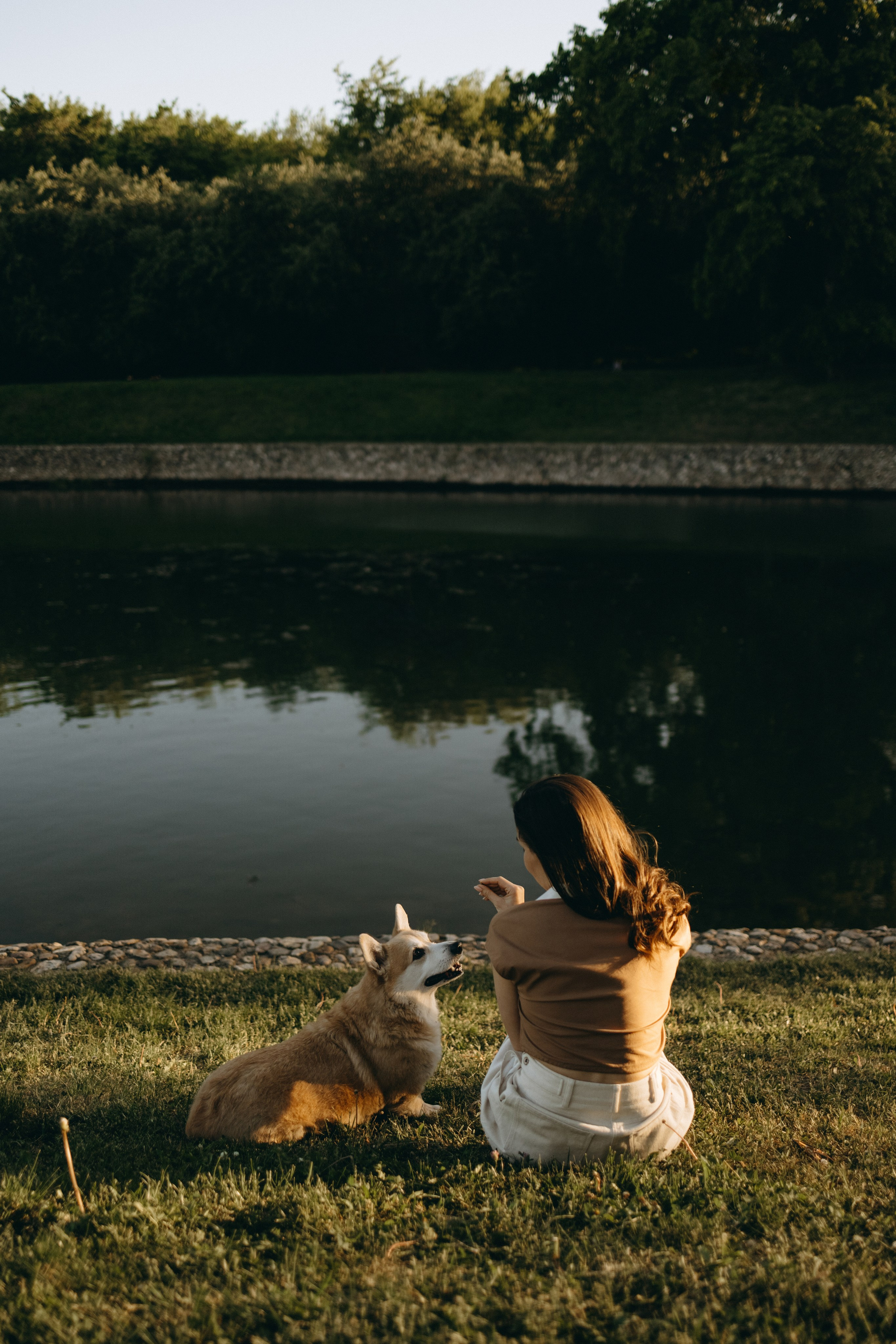 Кристина и Шелби. Фотограф — Анималист | Санкт-Петербург