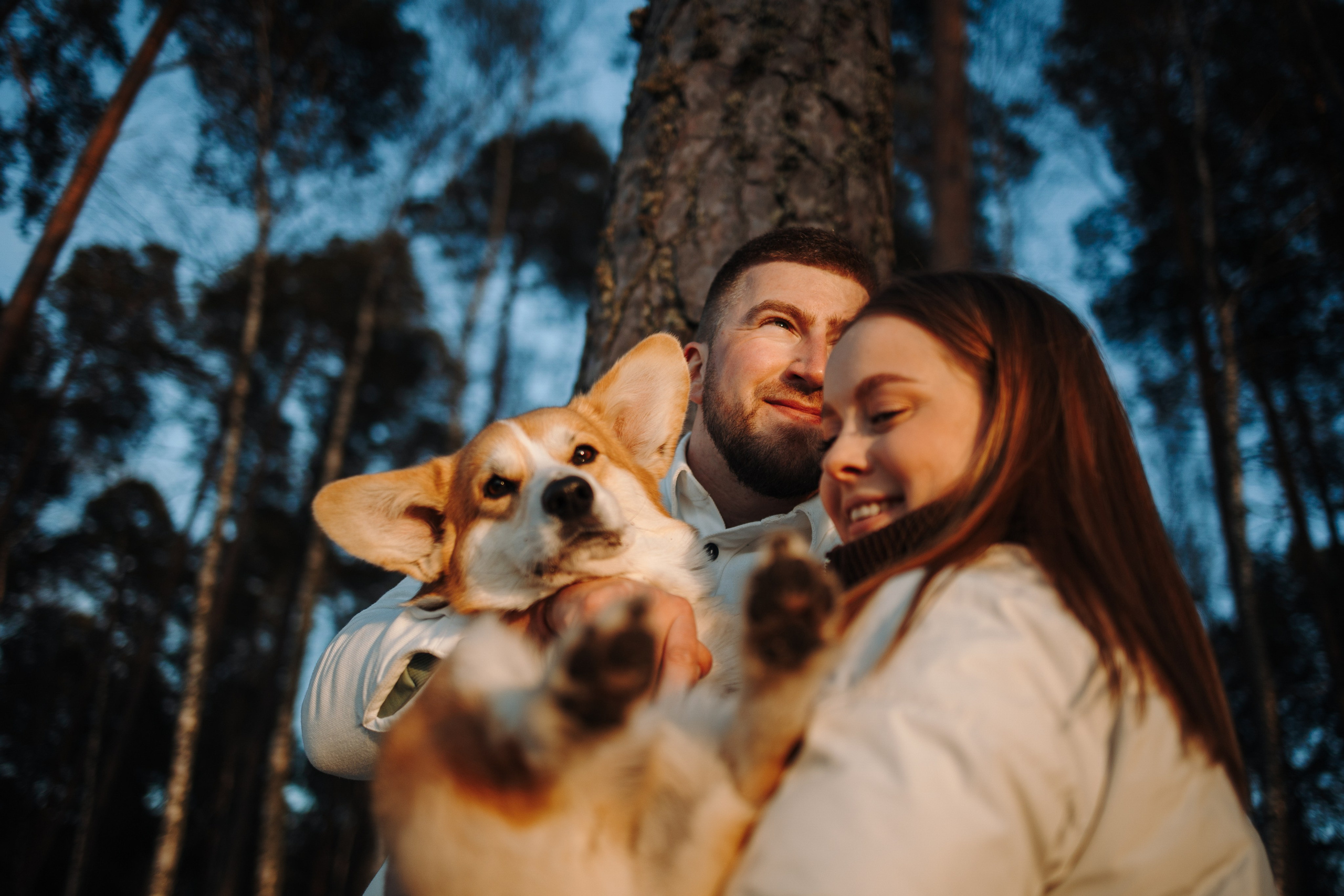 Найт и его семья. Фотограф — Анималист | Санкт-Петербург